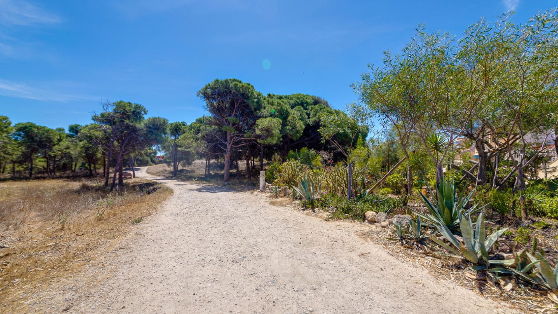 Wederverkoop - Appartement - Guardamar del Segura - beachside