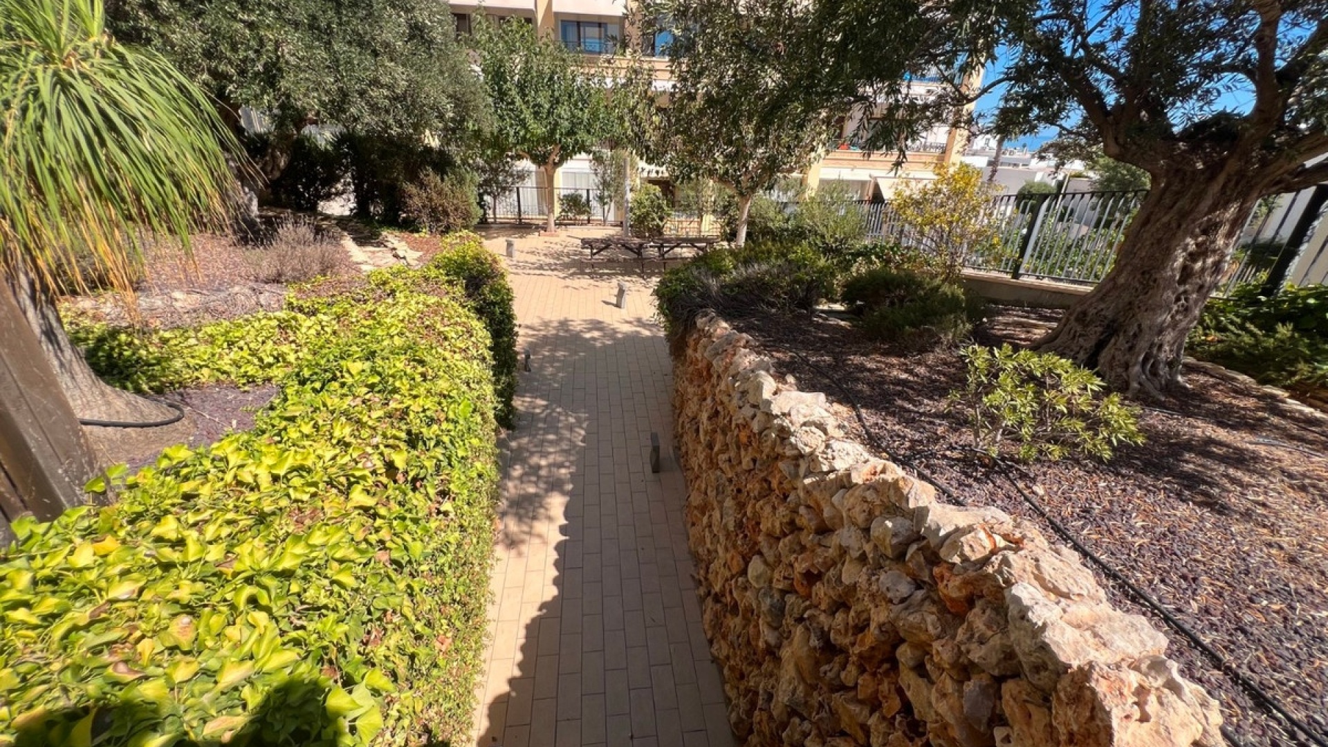 Wederverkoop - Appartement - Guardamar del Segura - Guardamar del Segura Centro