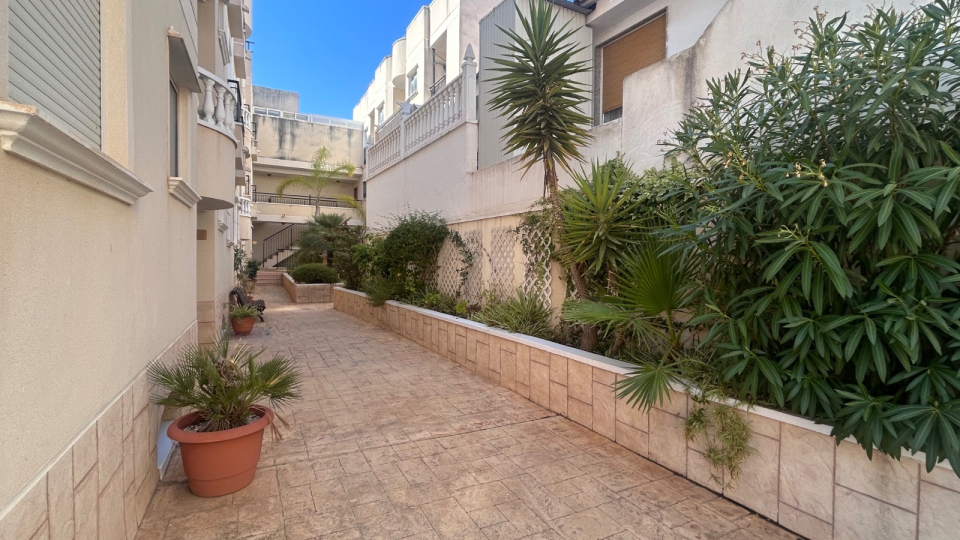 Wederverkoop - Appartement - Jacarilla - jacarilla