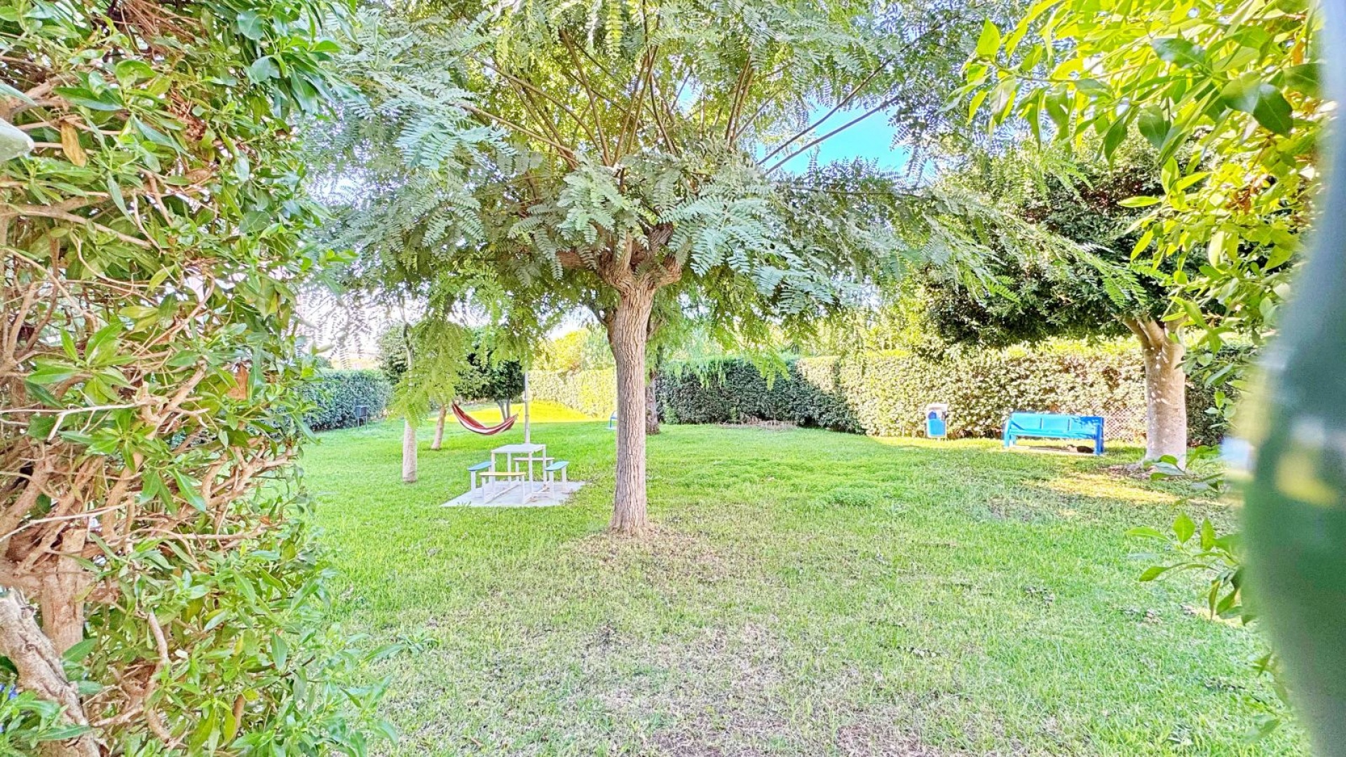 Wederverkoop - Appartement - La Mata - Beachside La Mata