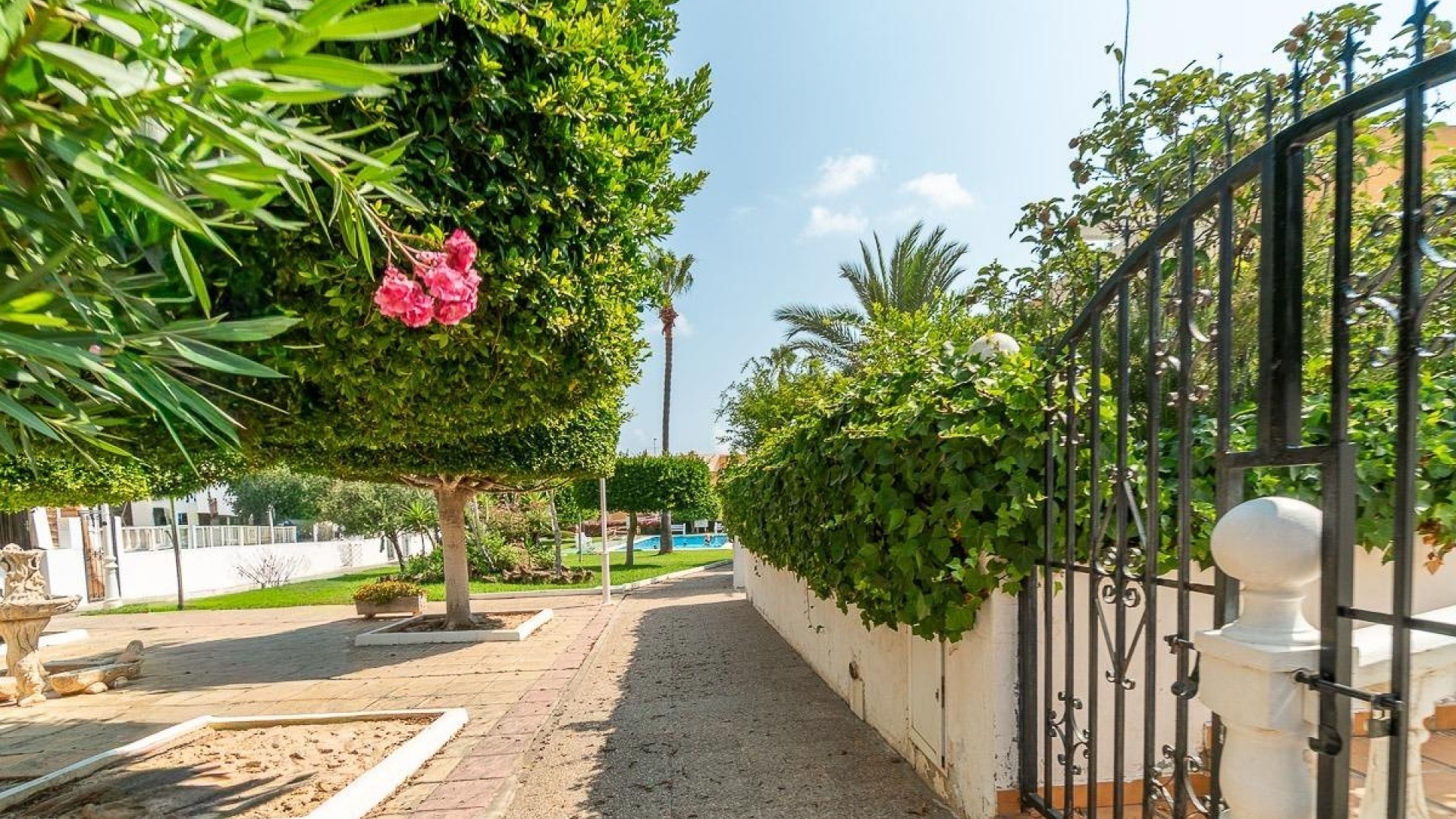 Wederverkoop - Appartement - La Mata - torre blanca
