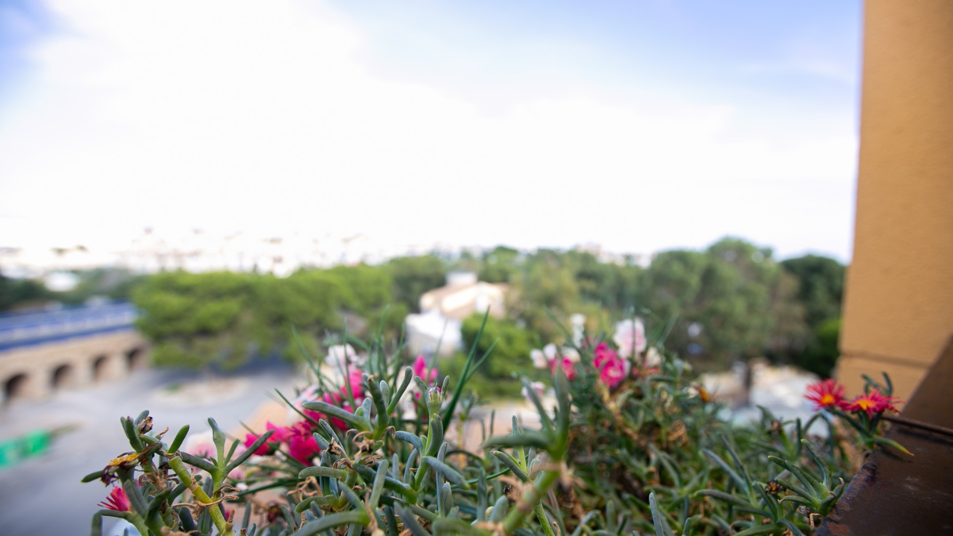 Wederverkoop - Appartement - La Zenia - beachside la zenia