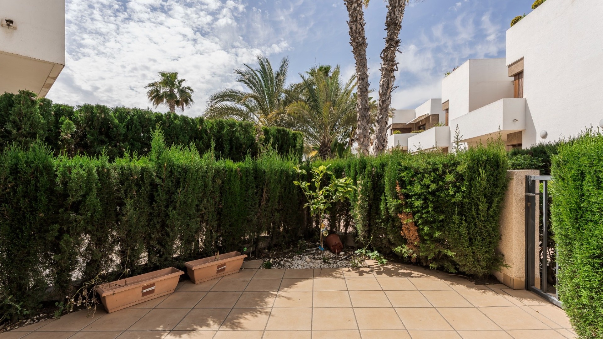 Wederverkoop - Appartement - La Zenia - secreto de la zenia