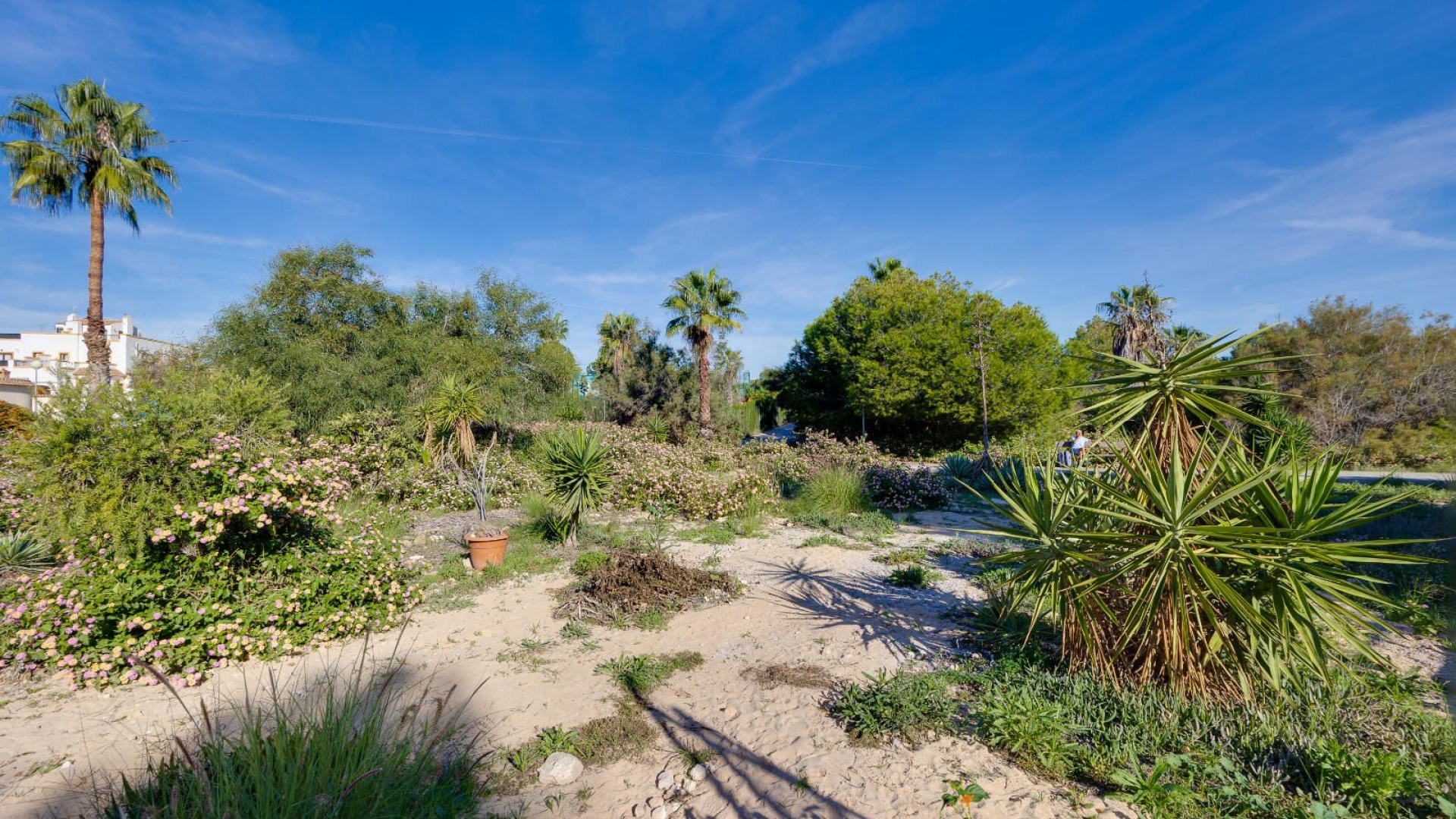 Wederverkoop - Appartement - Los Altos - dream hills