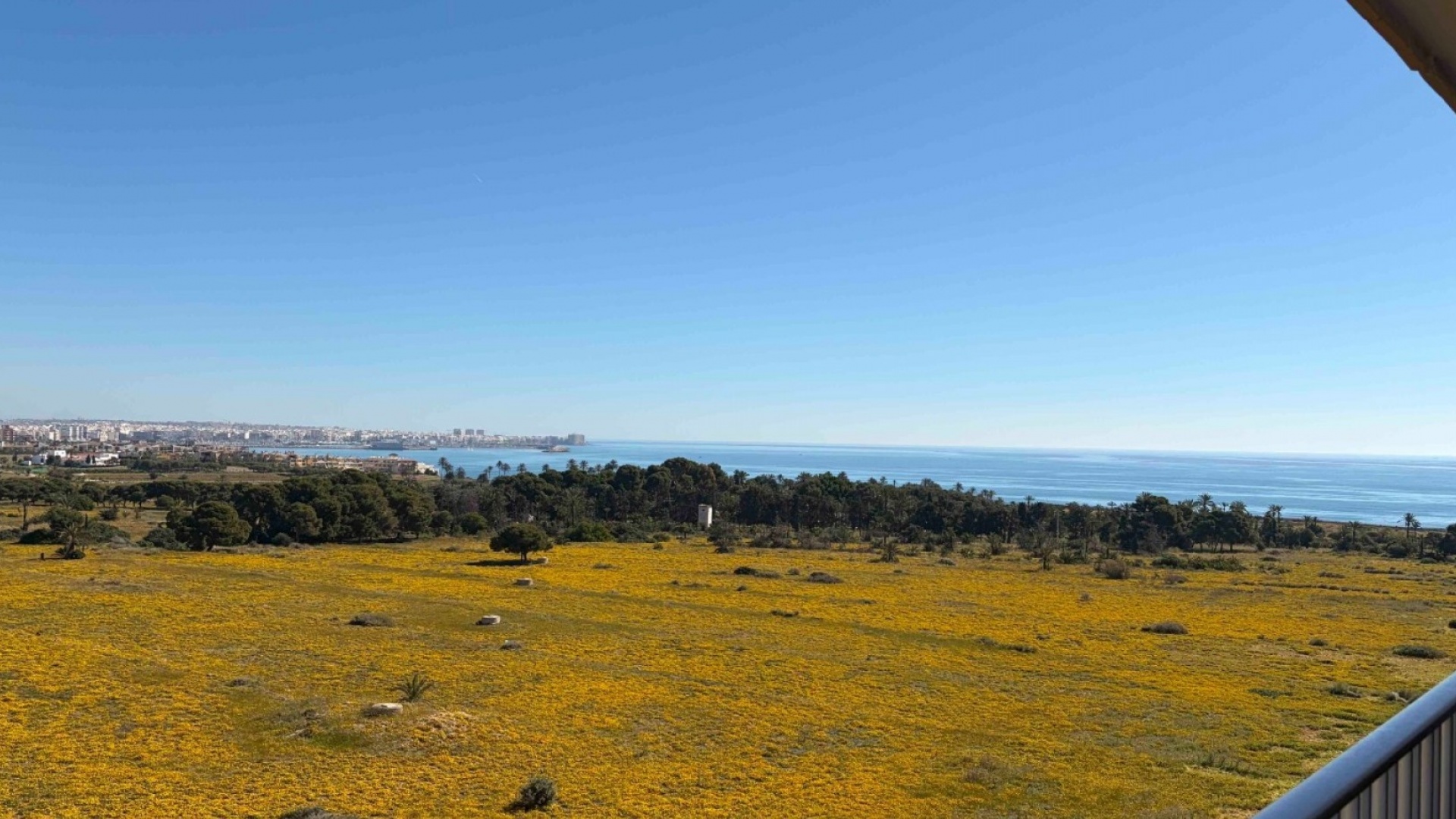 Wederverkoop - Appartement - Orihuela Costa - Punta Prima