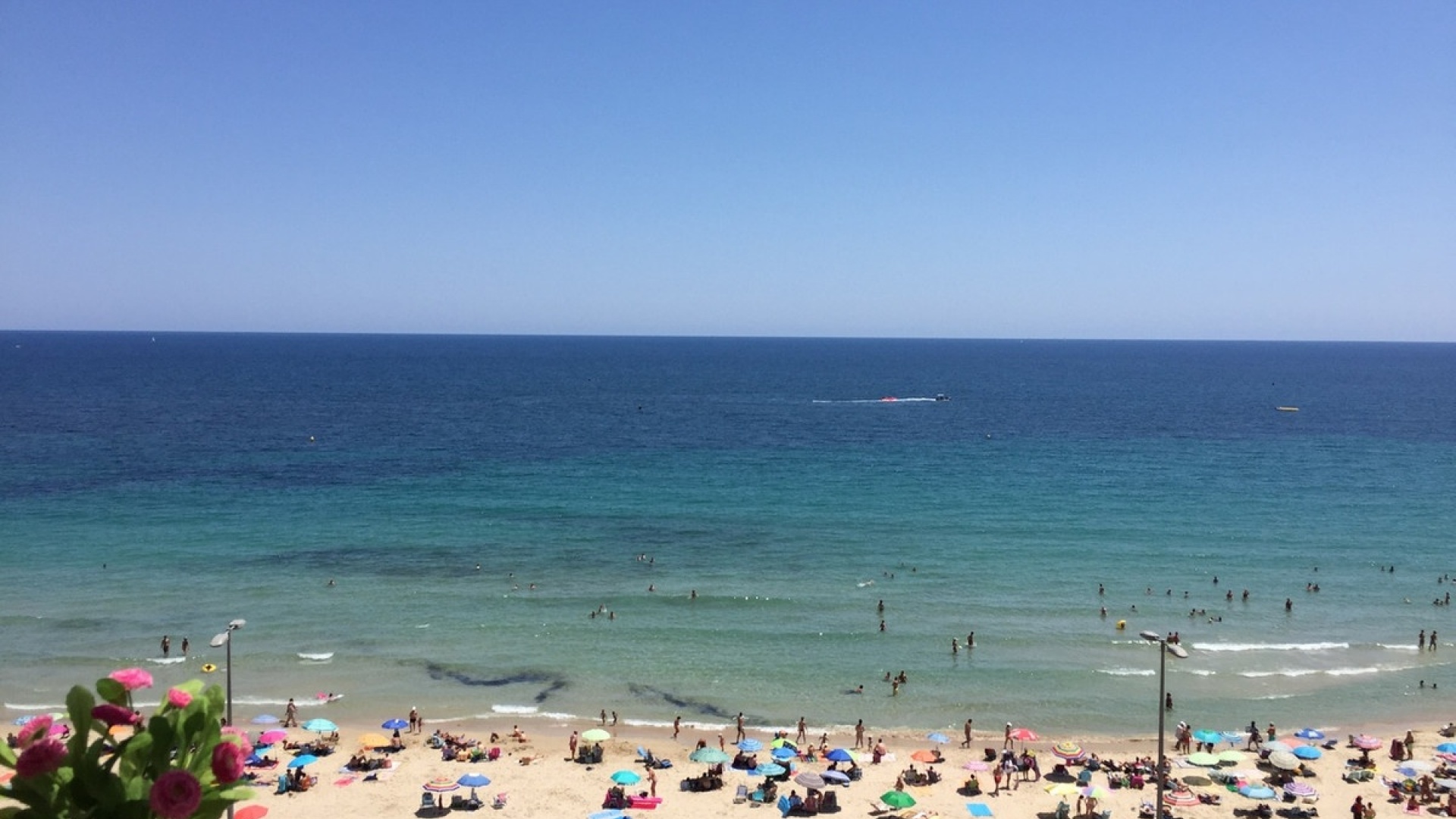 Wederverkoop - Appartement - Orihuela - Mil Palmeras