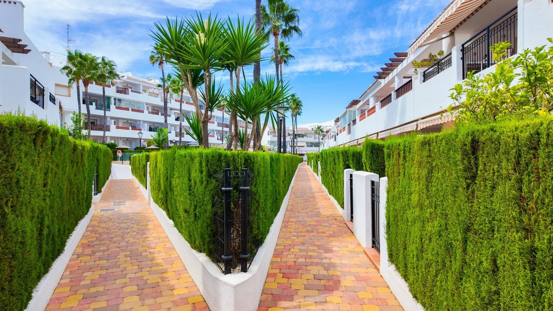 Wederverkoop - Appartement - Orihuela - Orihuela Costa