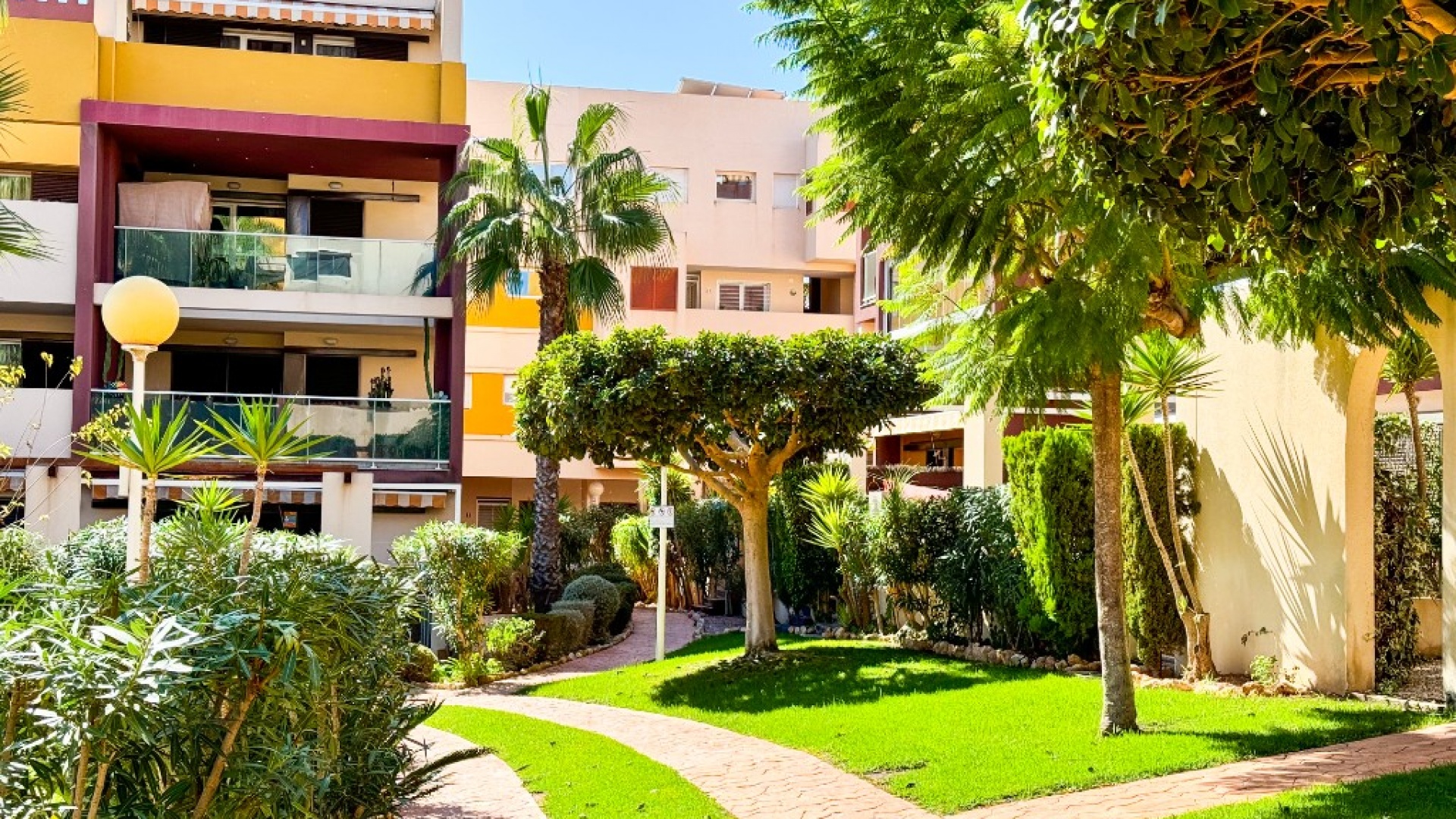 Wederverkoop - Appartement - Playa Flamenca - el bosque