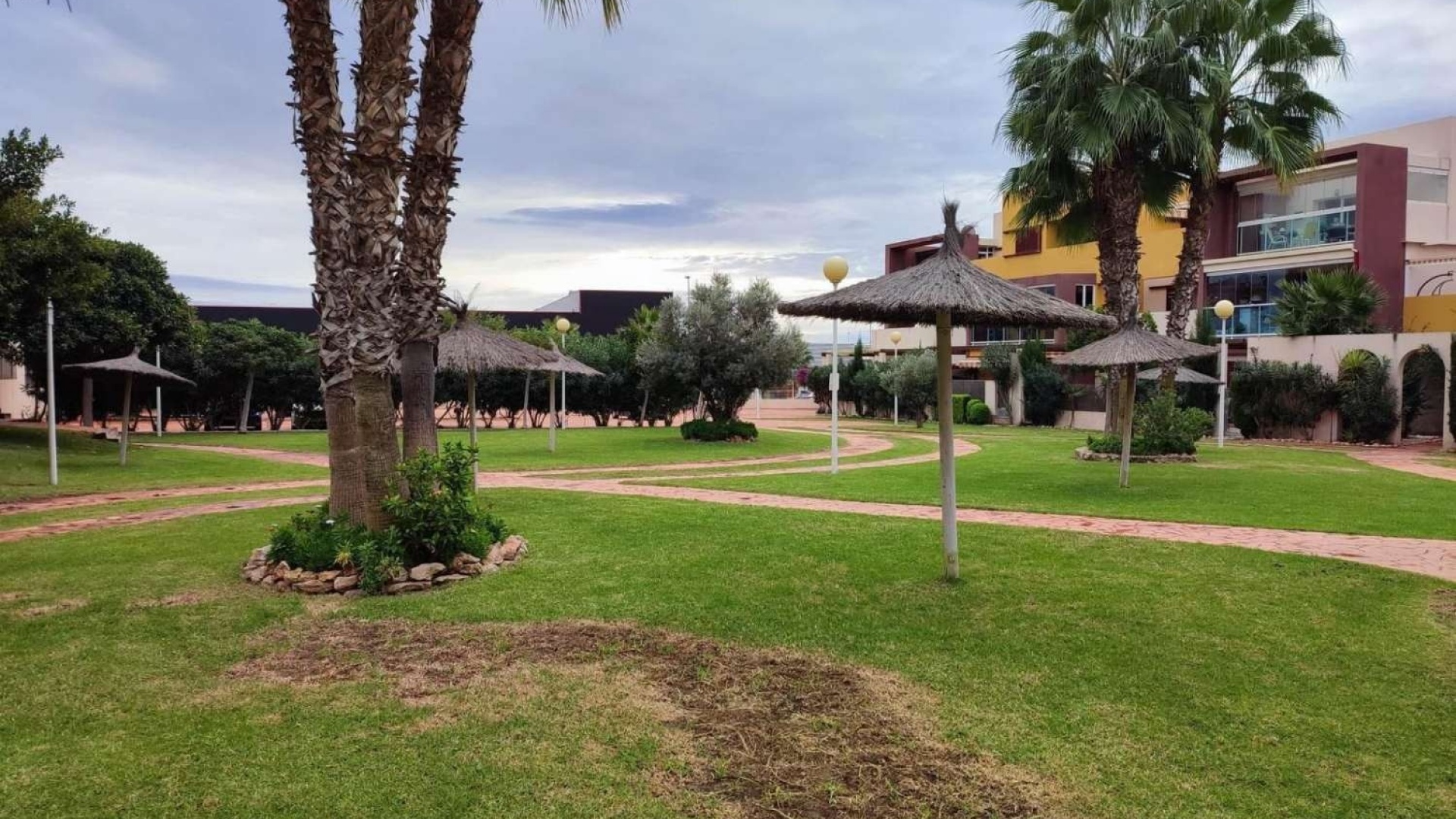 Wederverkoop - Appartement - Playa Flamenca - el bosque