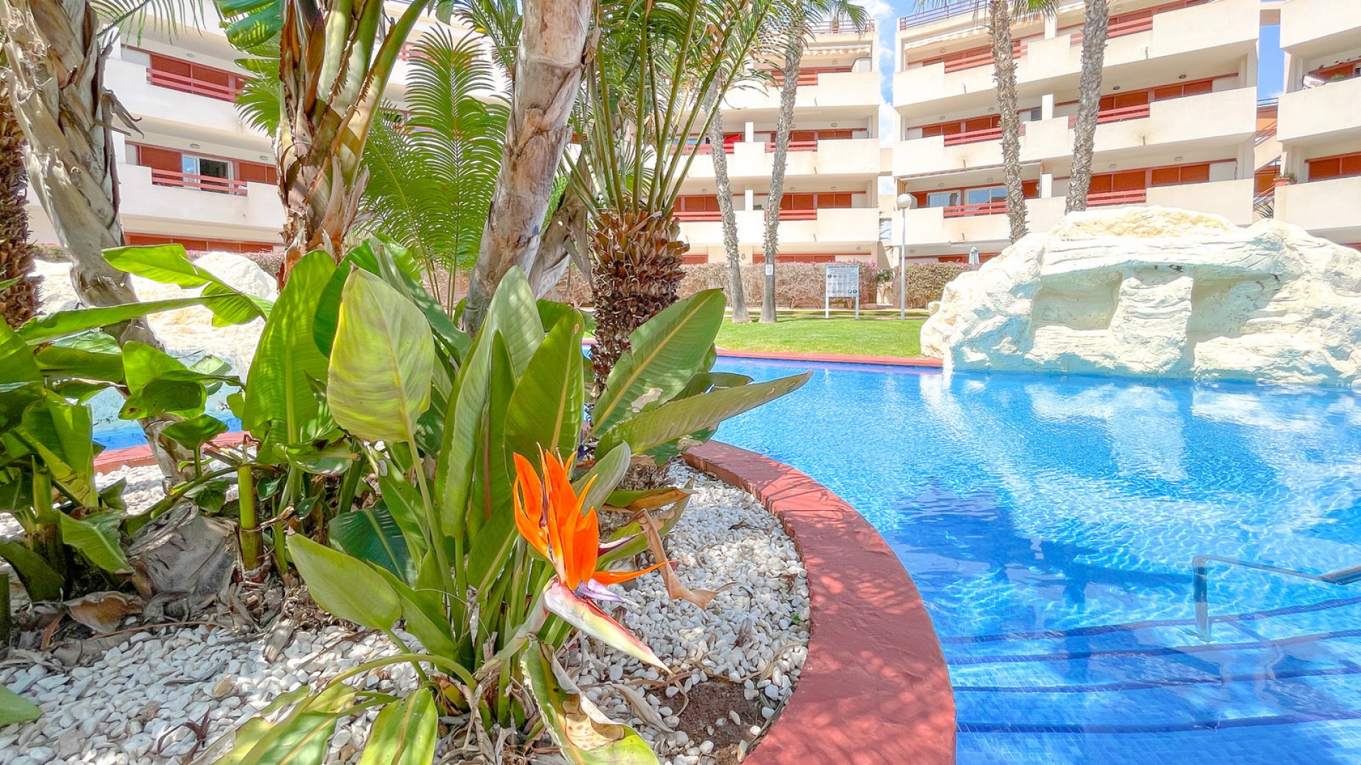 Wederverkoop - Appartement - Playa Flamenca - el rincon