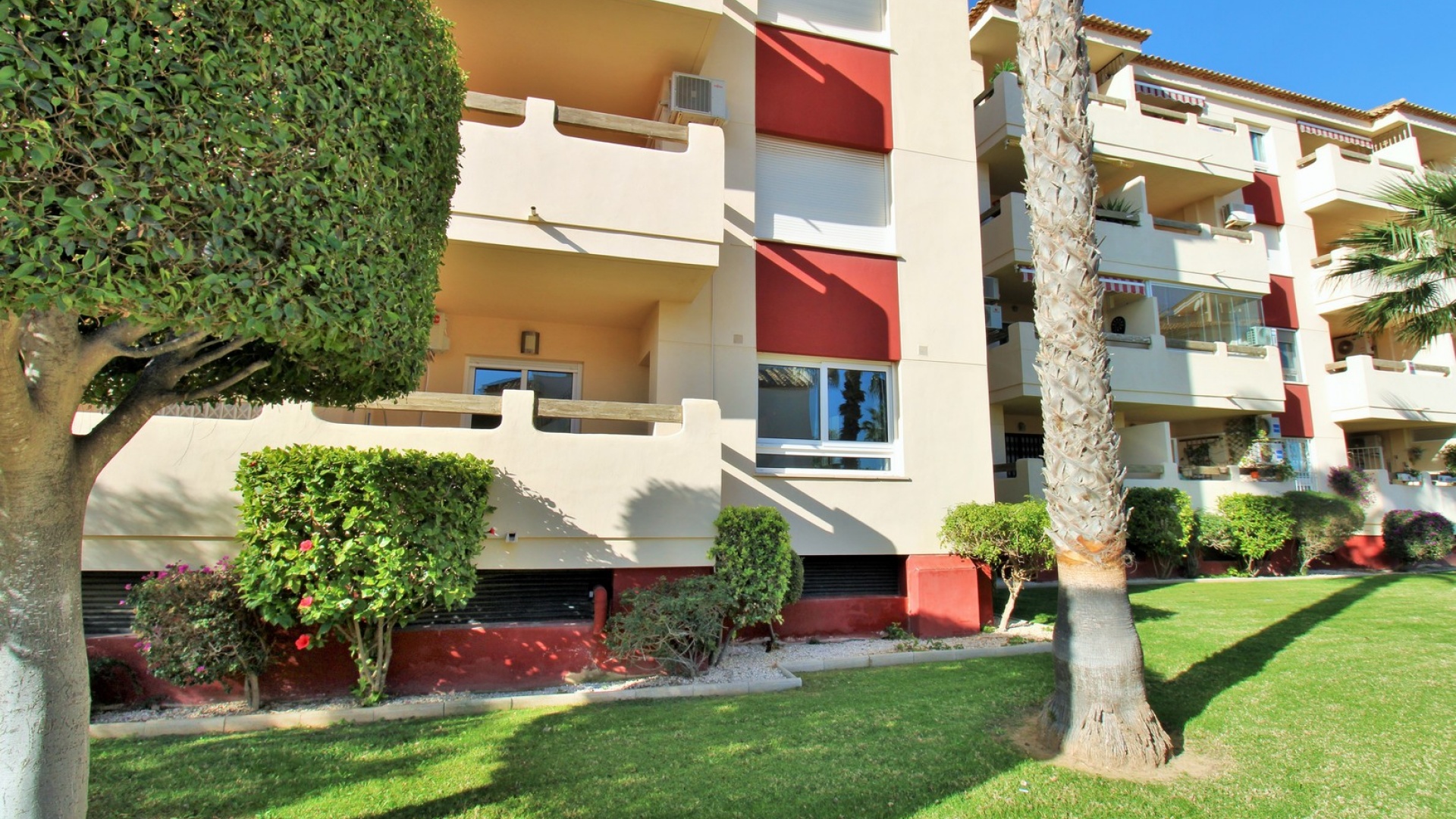 Wederverkoop - Appartement - Playa Flamenca - jumilla