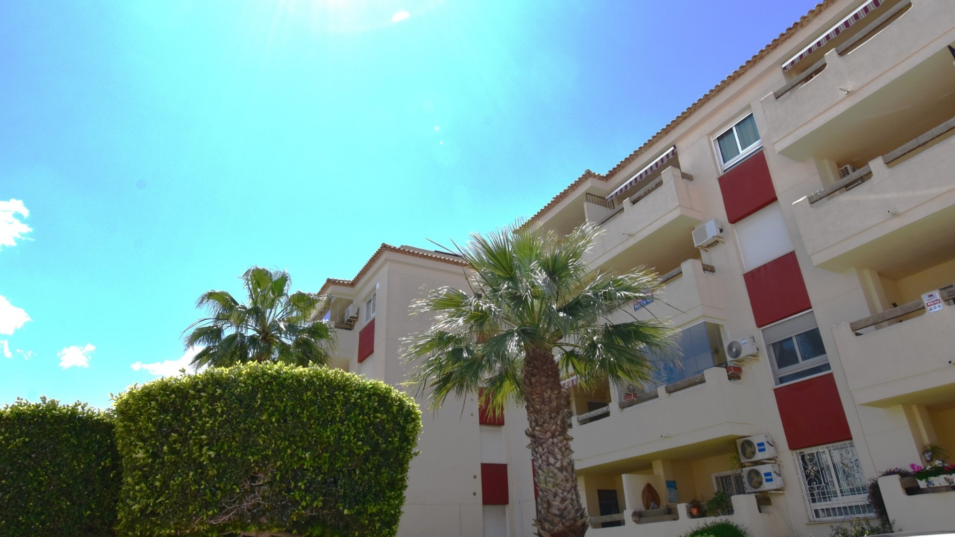 Wederverkoop - Appartement - Playa Flamenca - jumilla