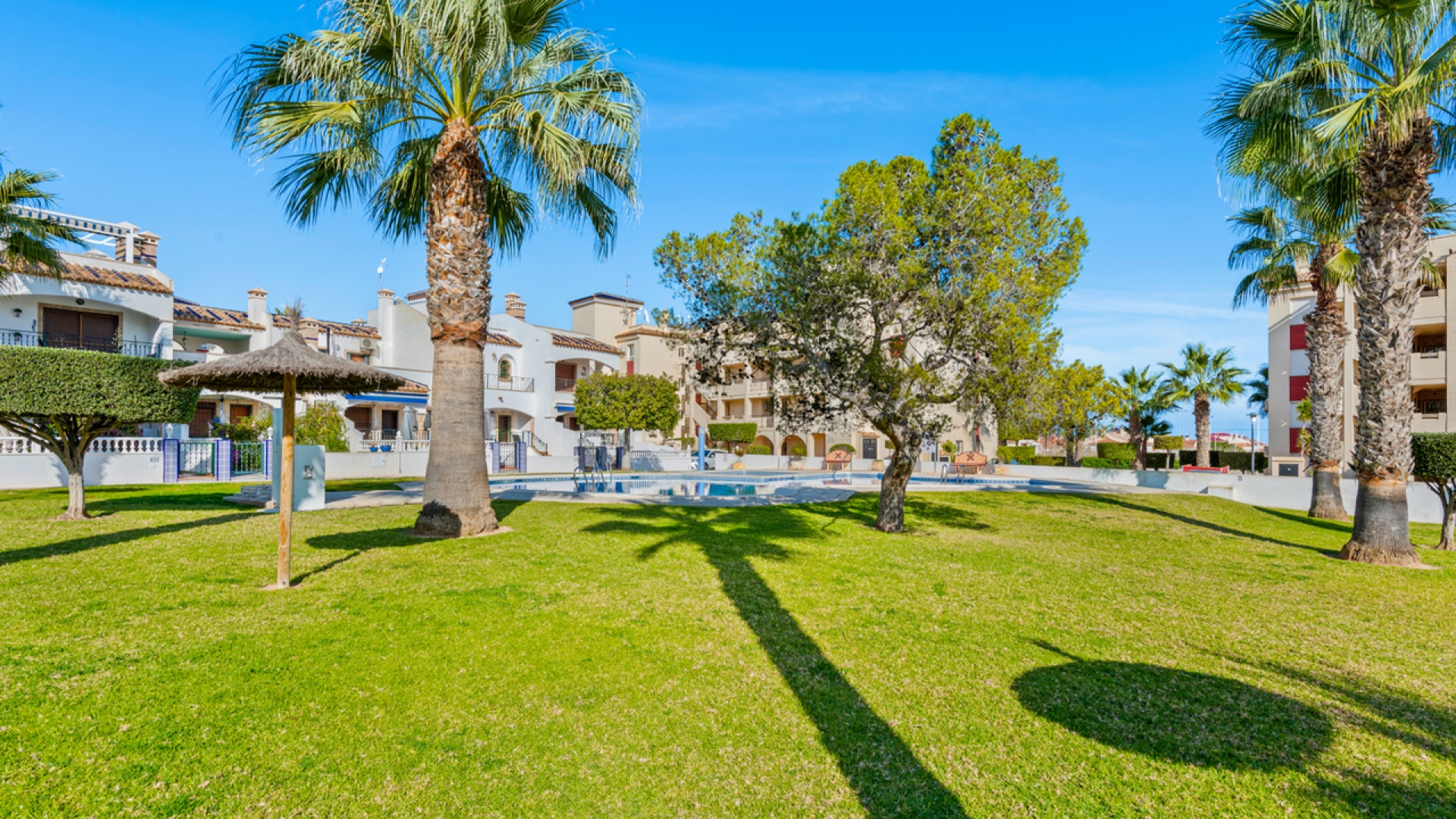 Wederverkoop - Appartement - Playa Flamenca - jumilla