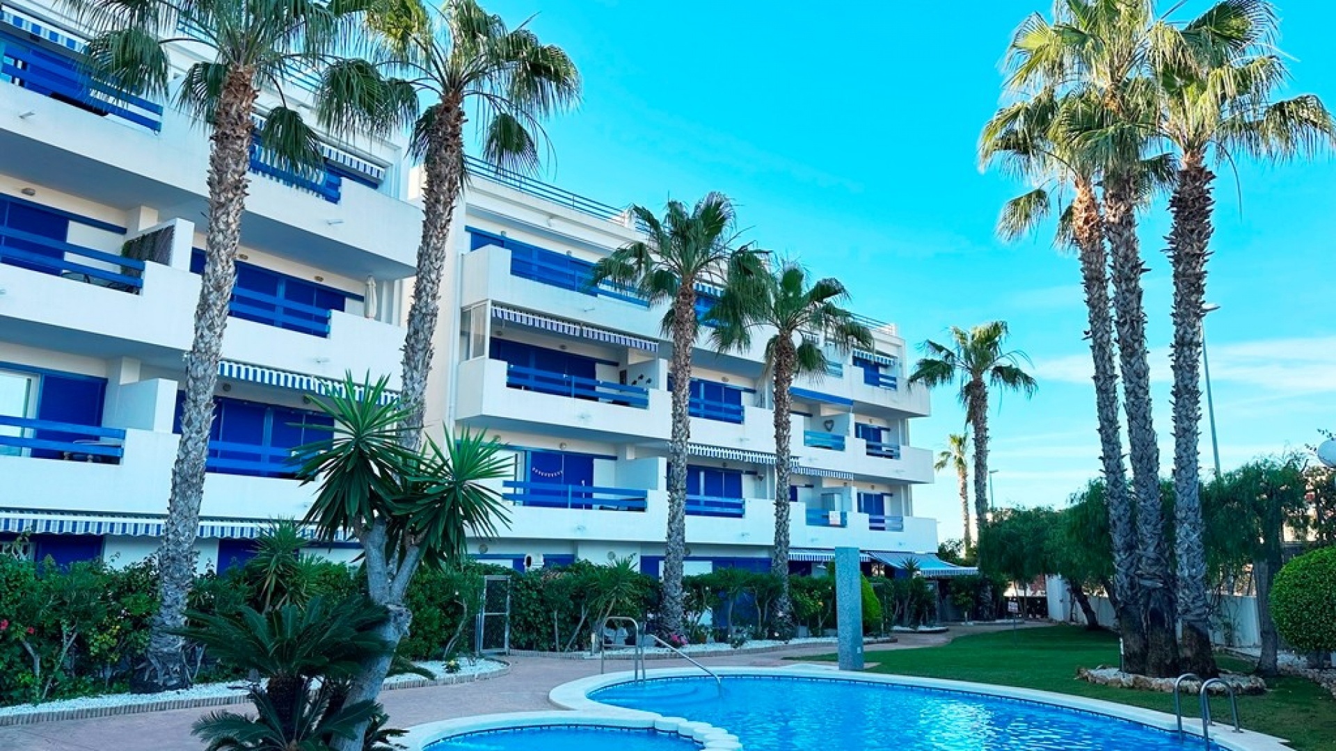Wederverkoop - Appartement - Playa Flamenca - la calma