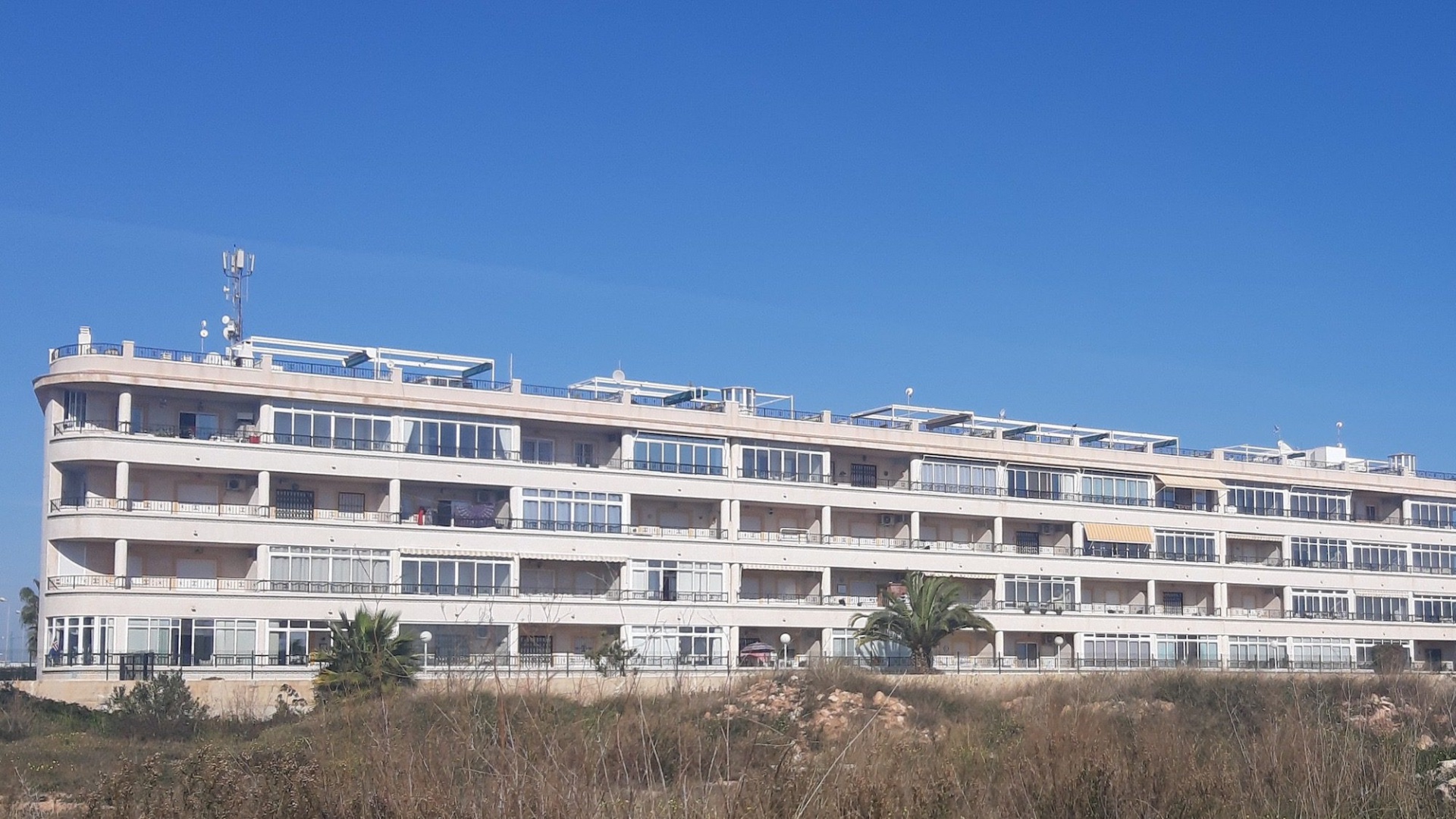 Wederverkoop - Appartement - Playa Flamenca - la mirada