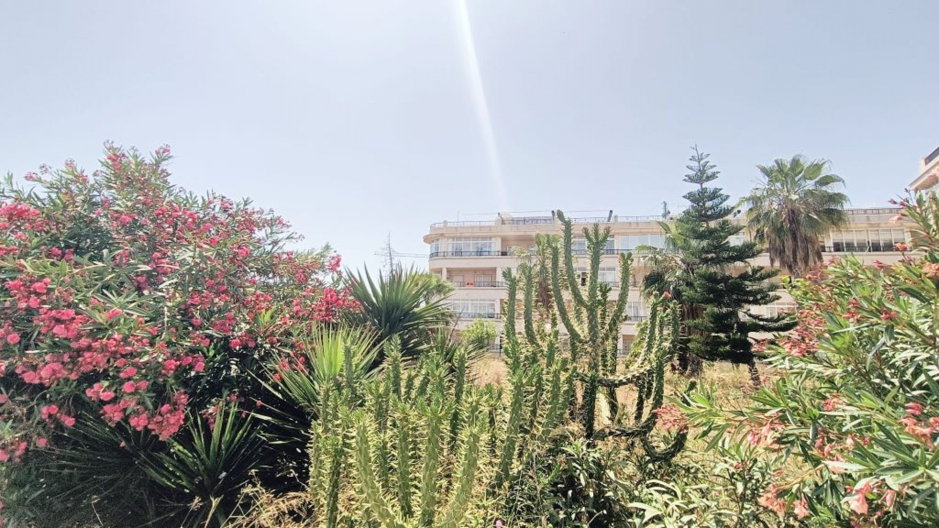 Wederverkoop - Appartement - Playa Flamenca - la mirada