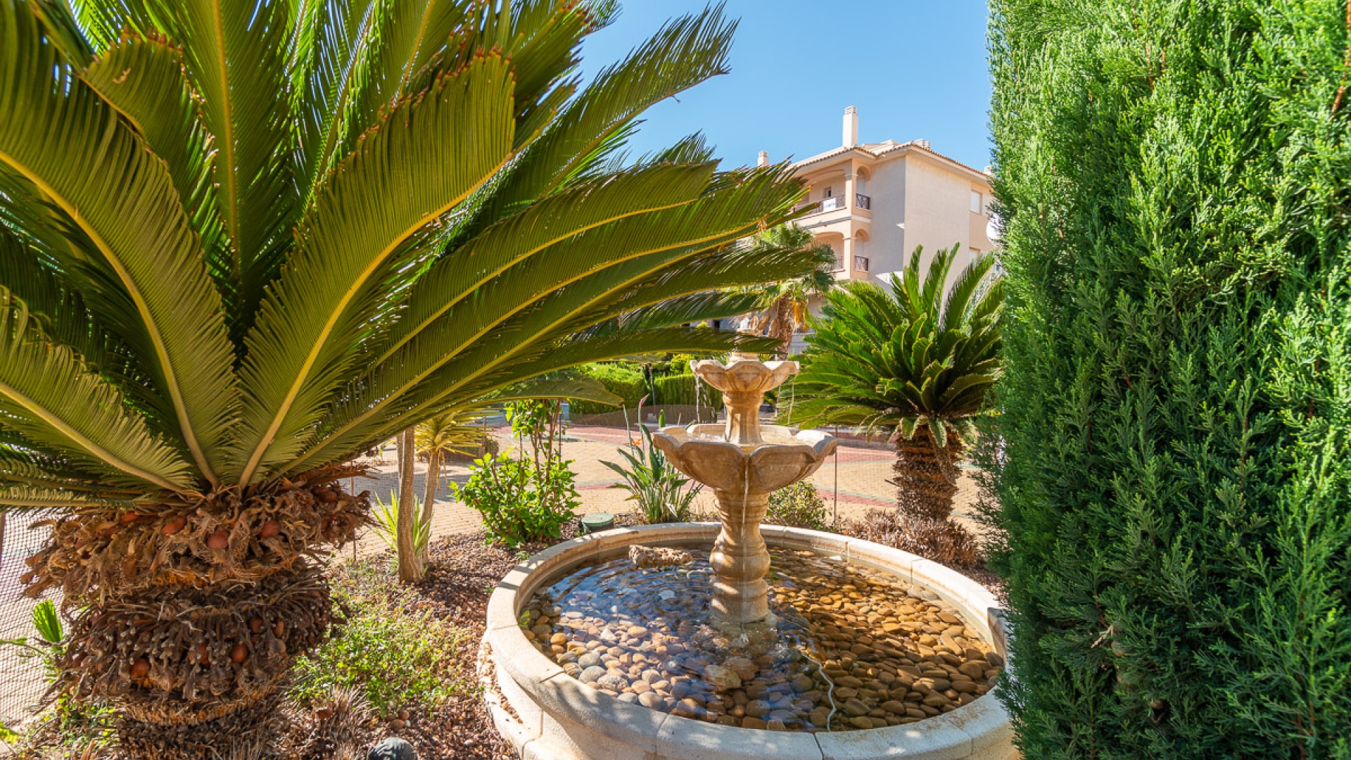 Wederverkoop - Appartement - Playa Flamenca - Laguna Golf