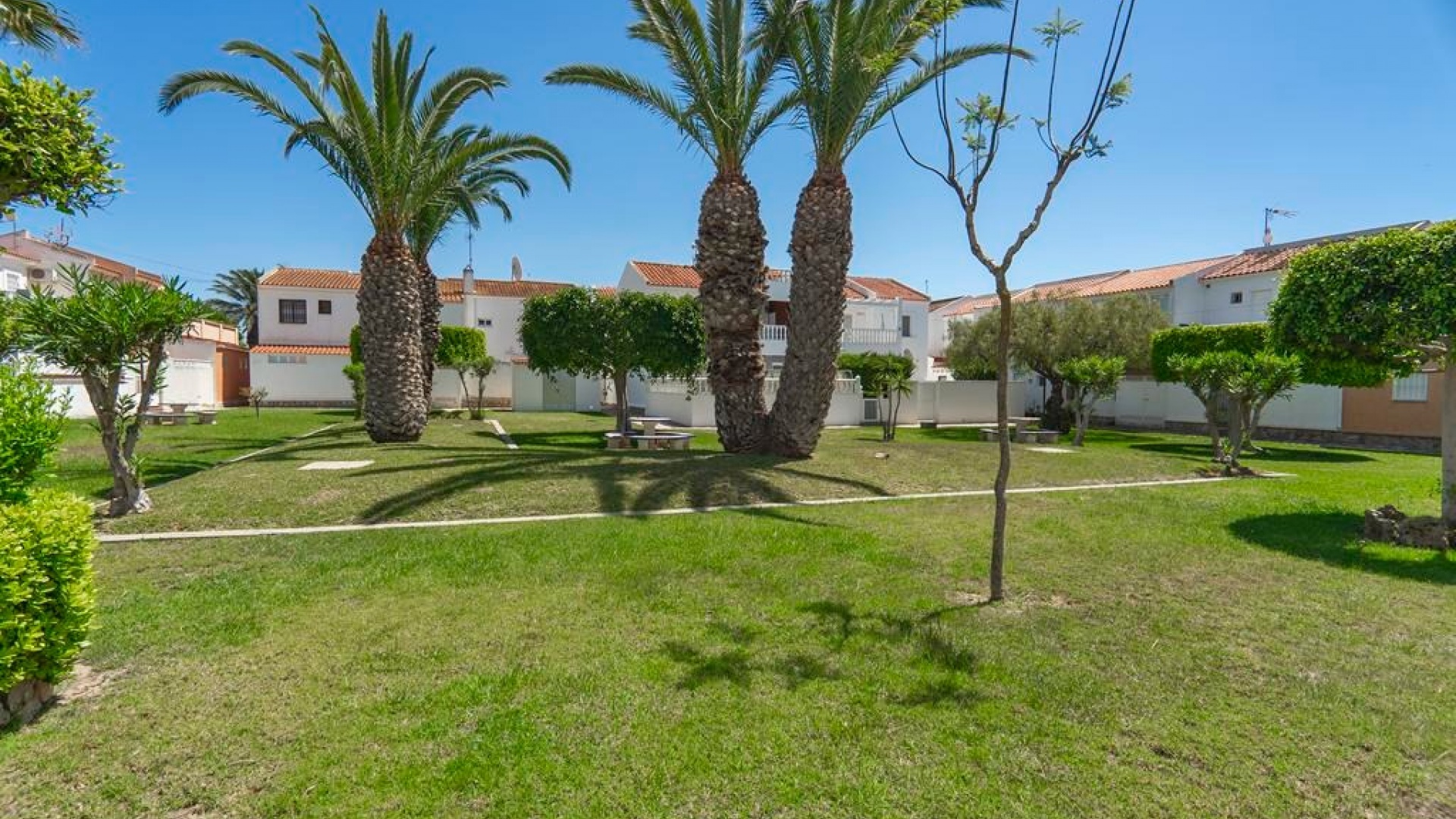 Wederverkoop - Appartement - Playa Flamenca - las chismosas