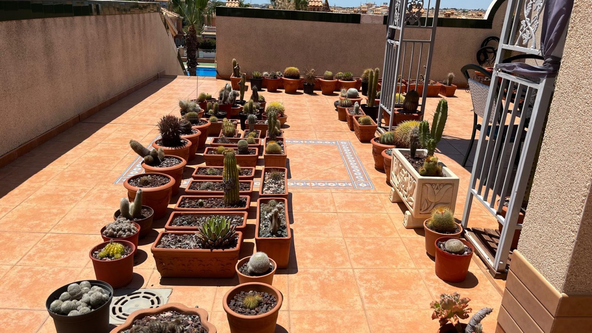 Wederverkoop - Appartement - Playa Flamenca - miraflores