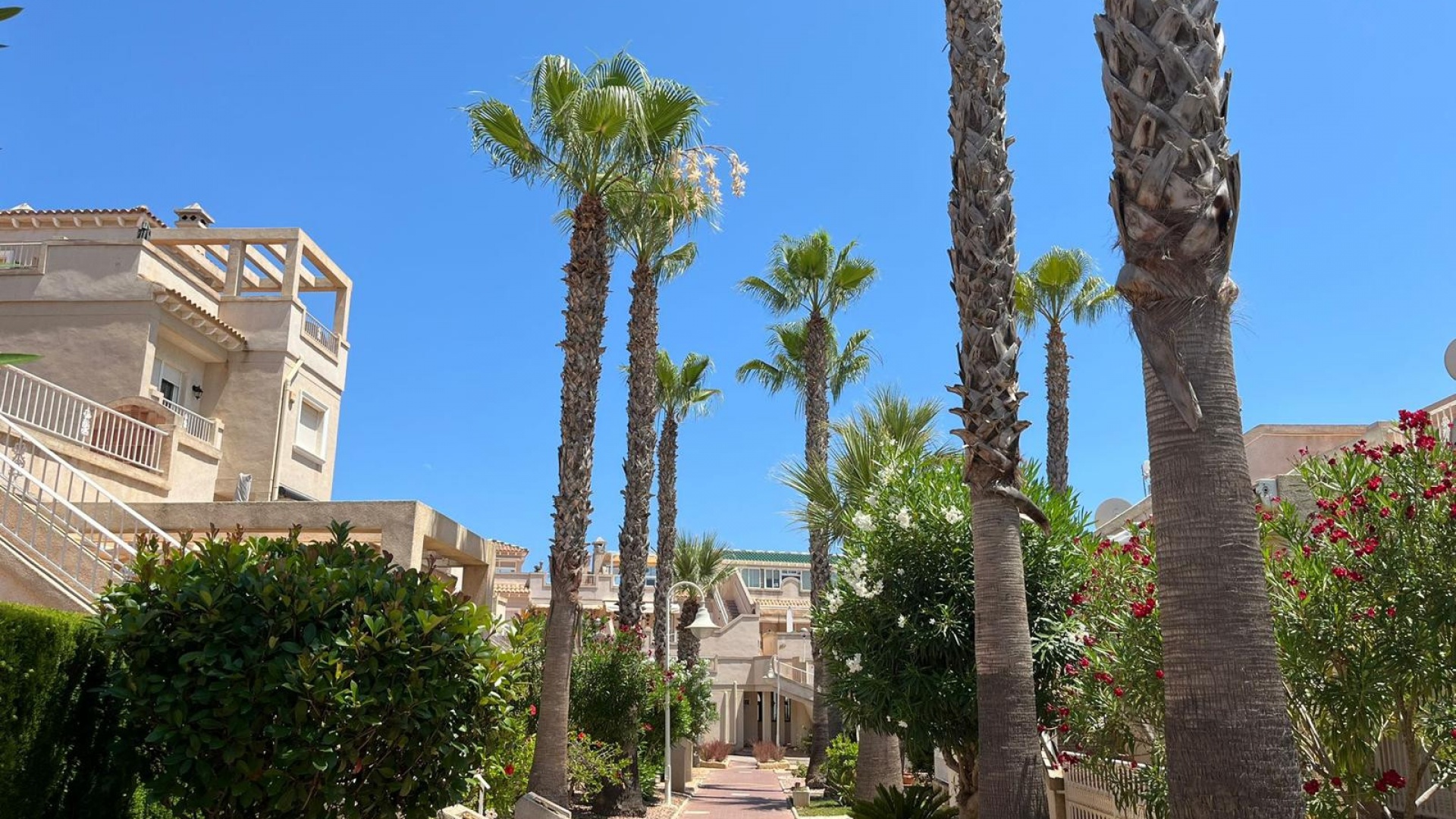 Wederverkoop - Appartement - Playa Flamenca - miraflores