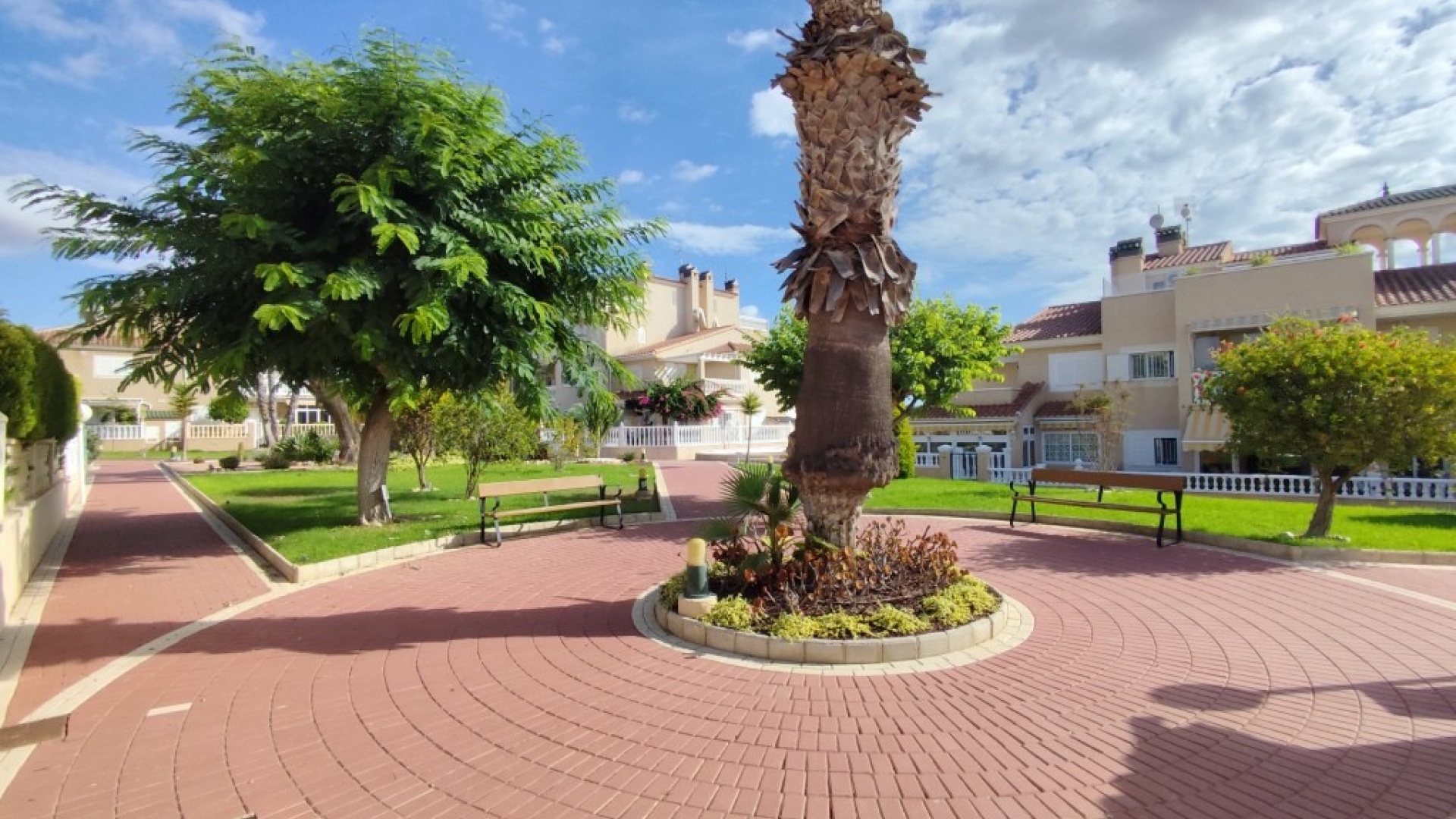 Wederverkoop - Appartement - Playa Flamenca - zeniamar