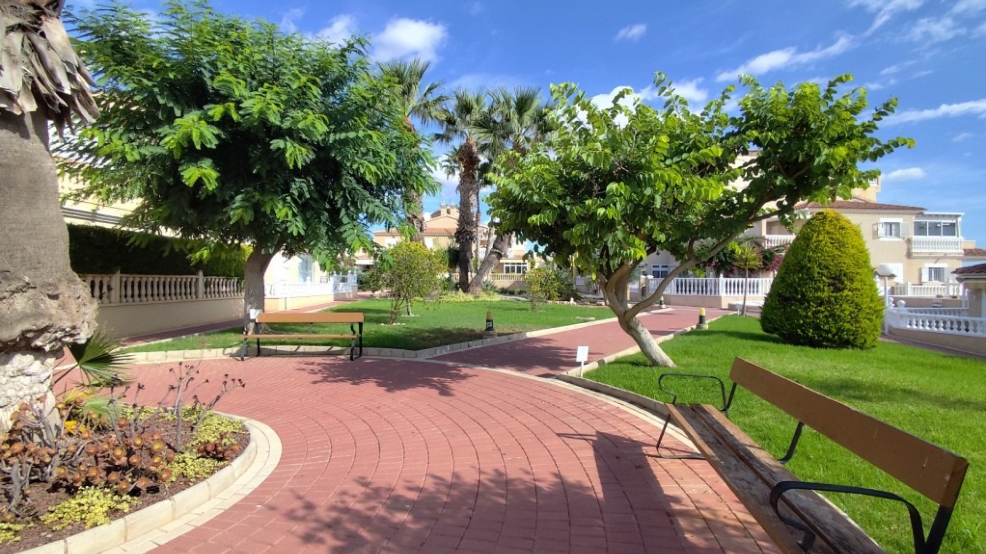 Wederverkoop - Appartement - Playa Flamenca - zeniamar