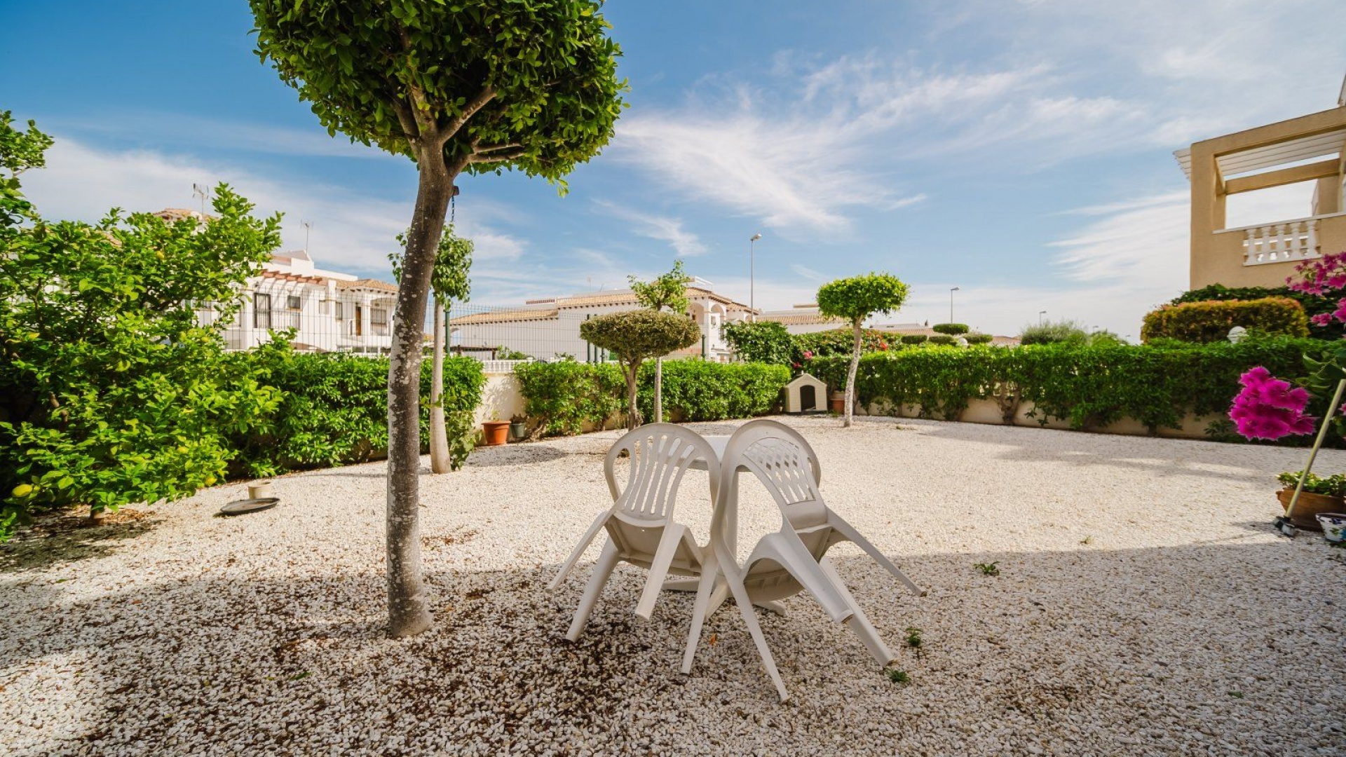 Wederverkoop - Appartement - Playa Flamenca - zeniamar