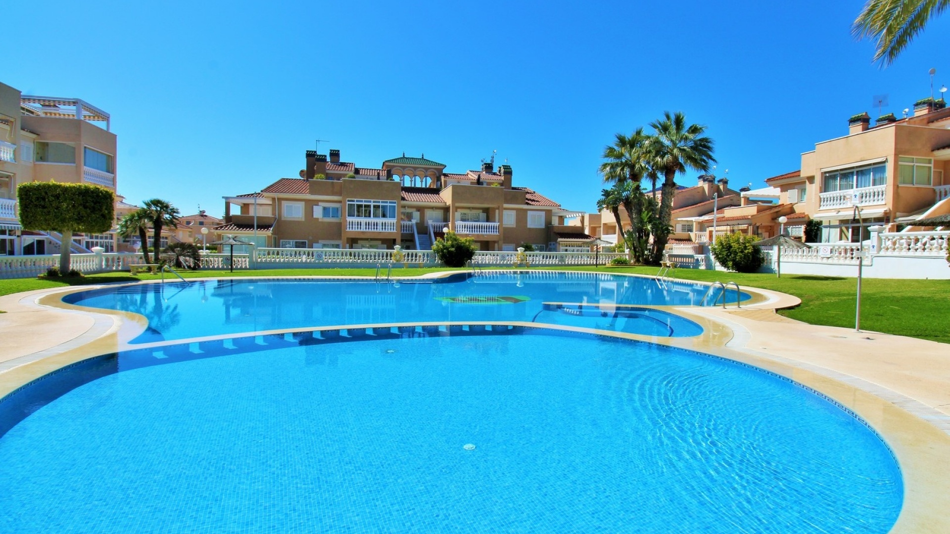 Wederverkoop - Appartement - Playa Flamenca - zeniamar