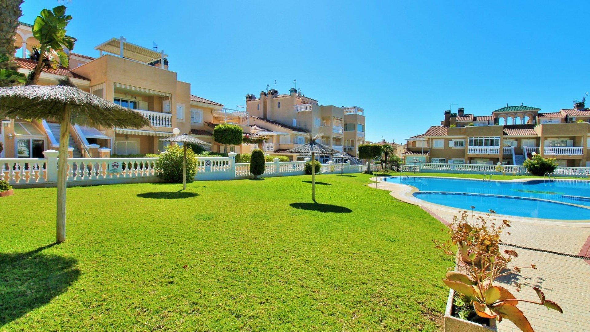 Wederverkoop - Appartement - Playa Flamenca - zeniamar