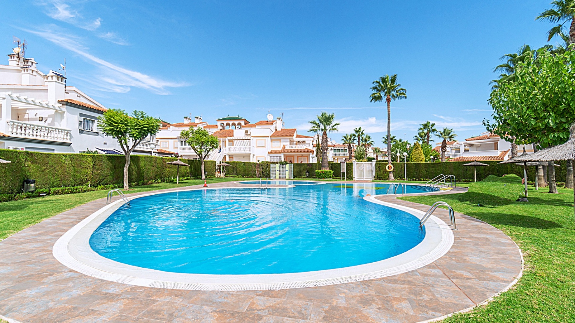 Wederverkoop - Appartement - Playa Flamenca - zeniamar