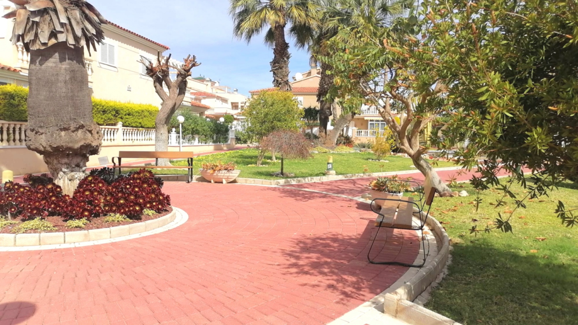 Wederverkoop - Appartement - Playa Flamenca - zeniamar