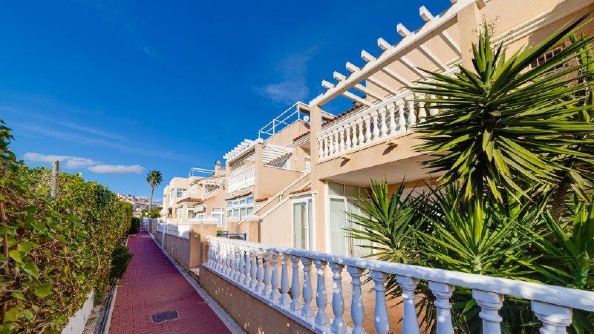 Wederverkoop - Appartement - Playa Flamenca - zeniamar