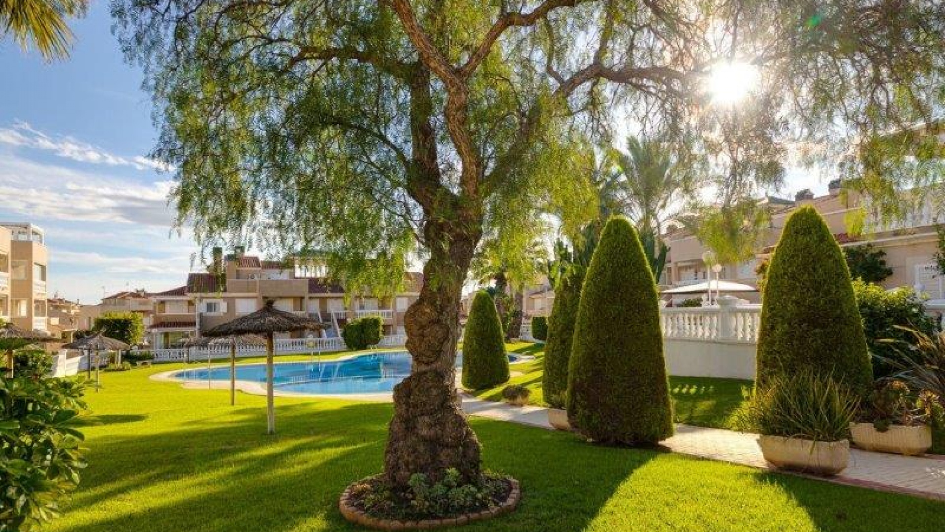 Wederverkoop - Appartement - Playa Flamenca - zeniamar