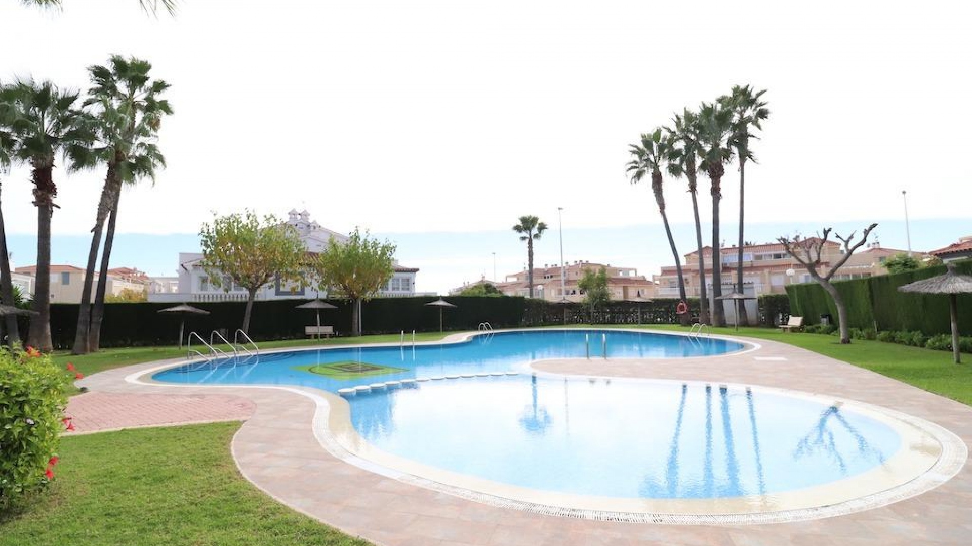 Wederverkoop - Appartement - Playa Flamenca - zeniamar