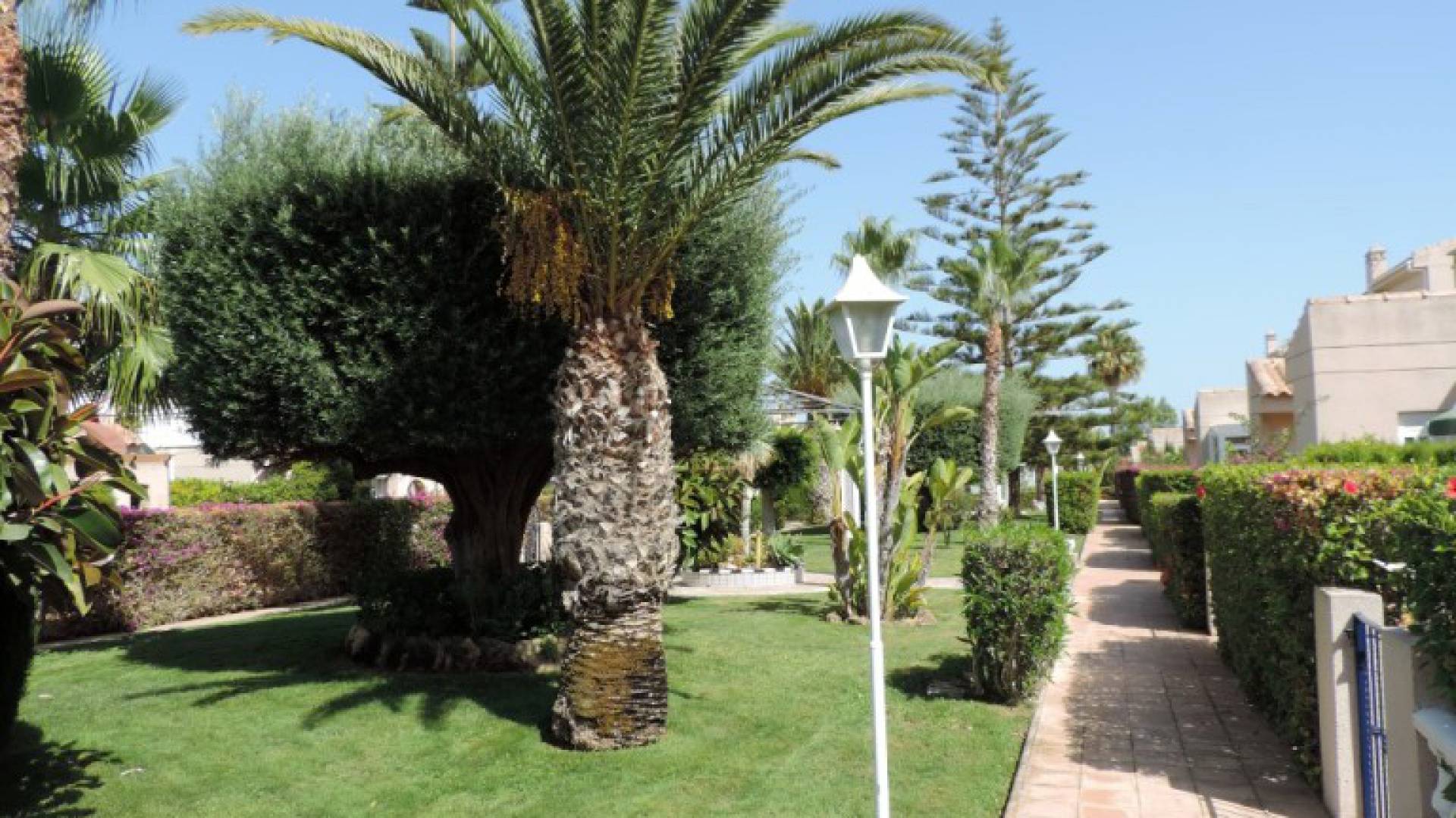 Wederverkoop - Appartement - Playa Flamenca