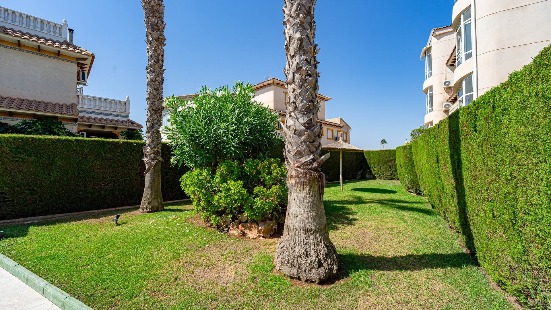 Wederverkoop - Appartement - Punta Prima - la campana