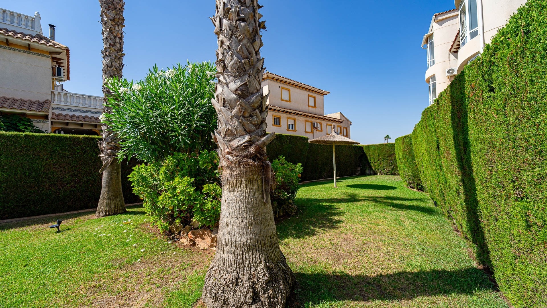 Wederverkoop - Appartement - Punta Prima - la campana