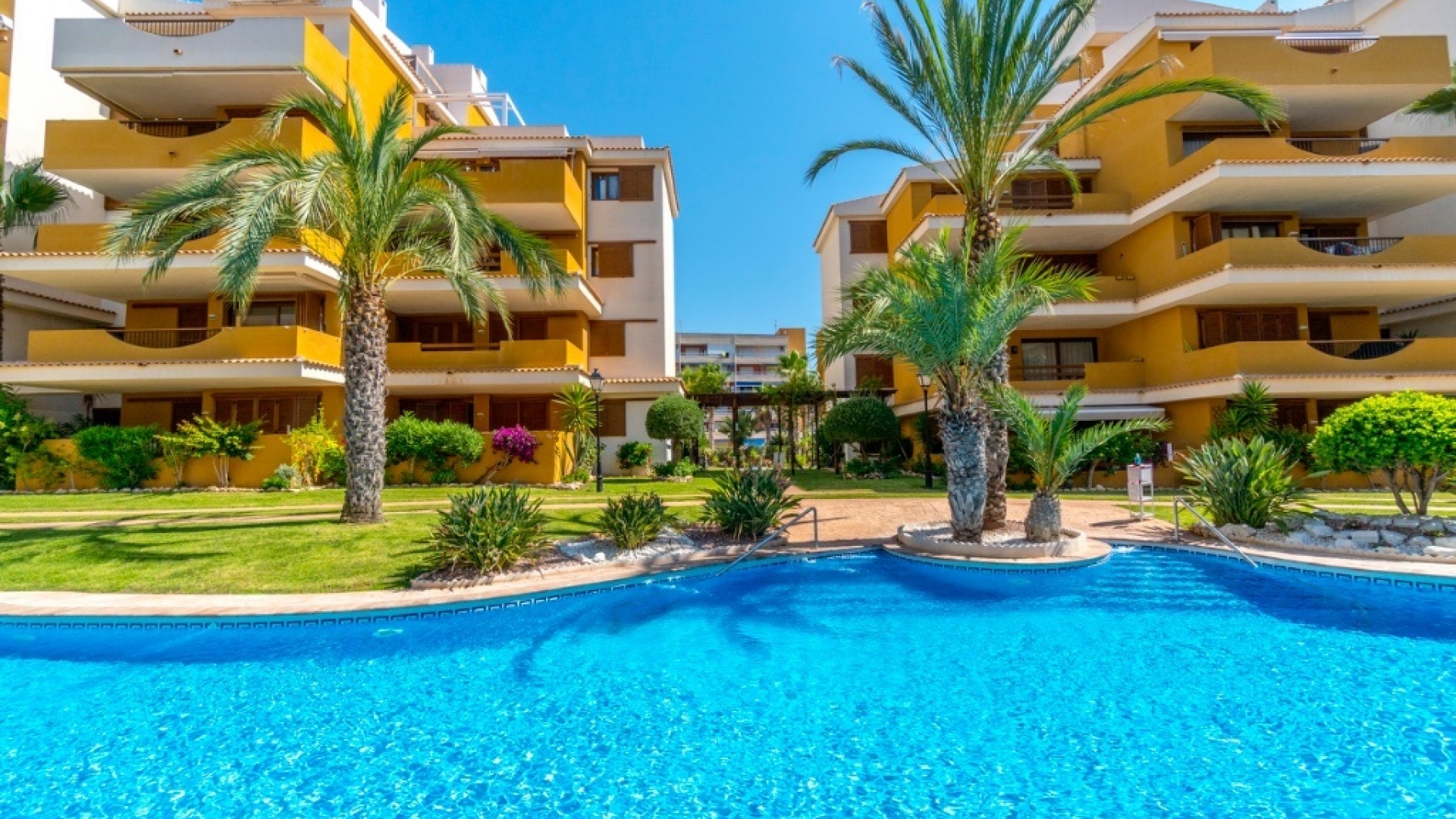 Wederverkoop - Appartement - Punta Prima - la entrada