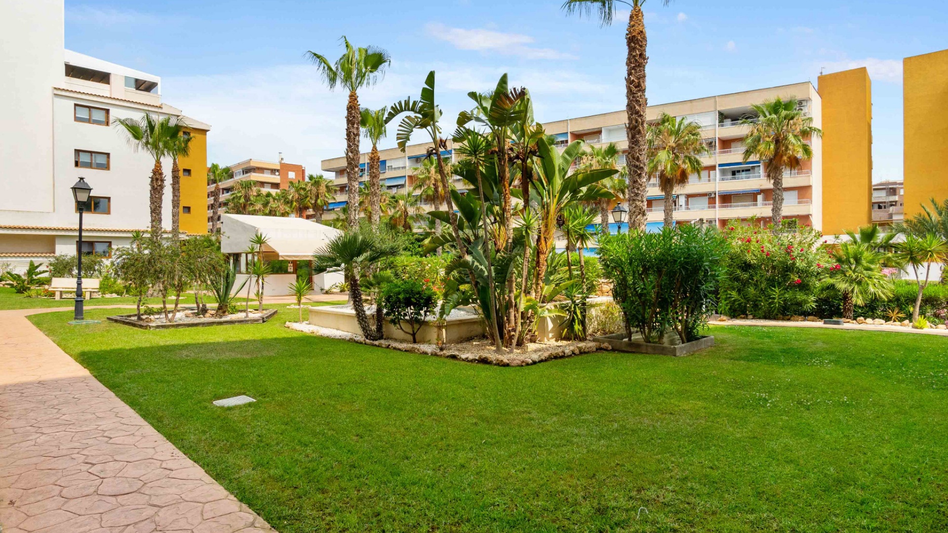 Wederverkoop - Appartement - Punta Prima - la entrada