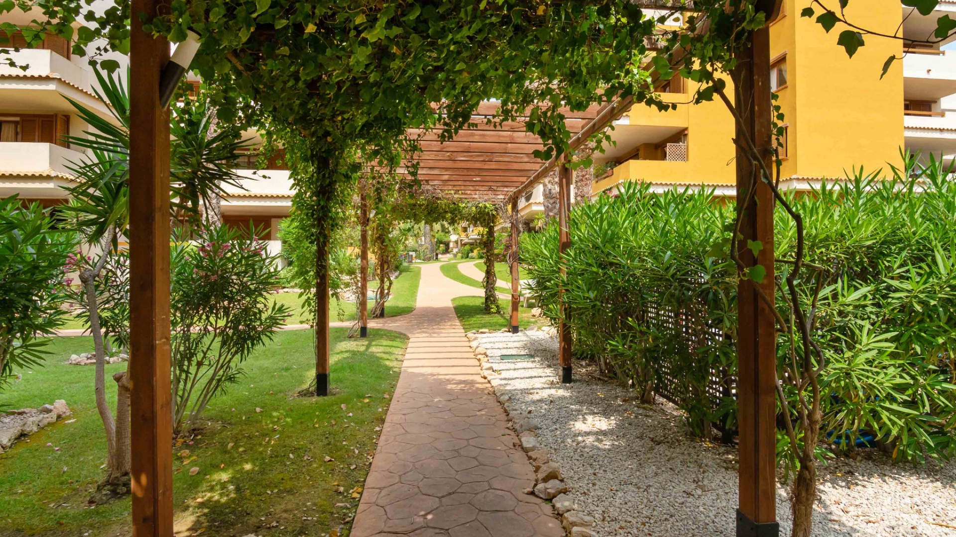 Wederverkoop - Appartement - Punta Prima - la entrada