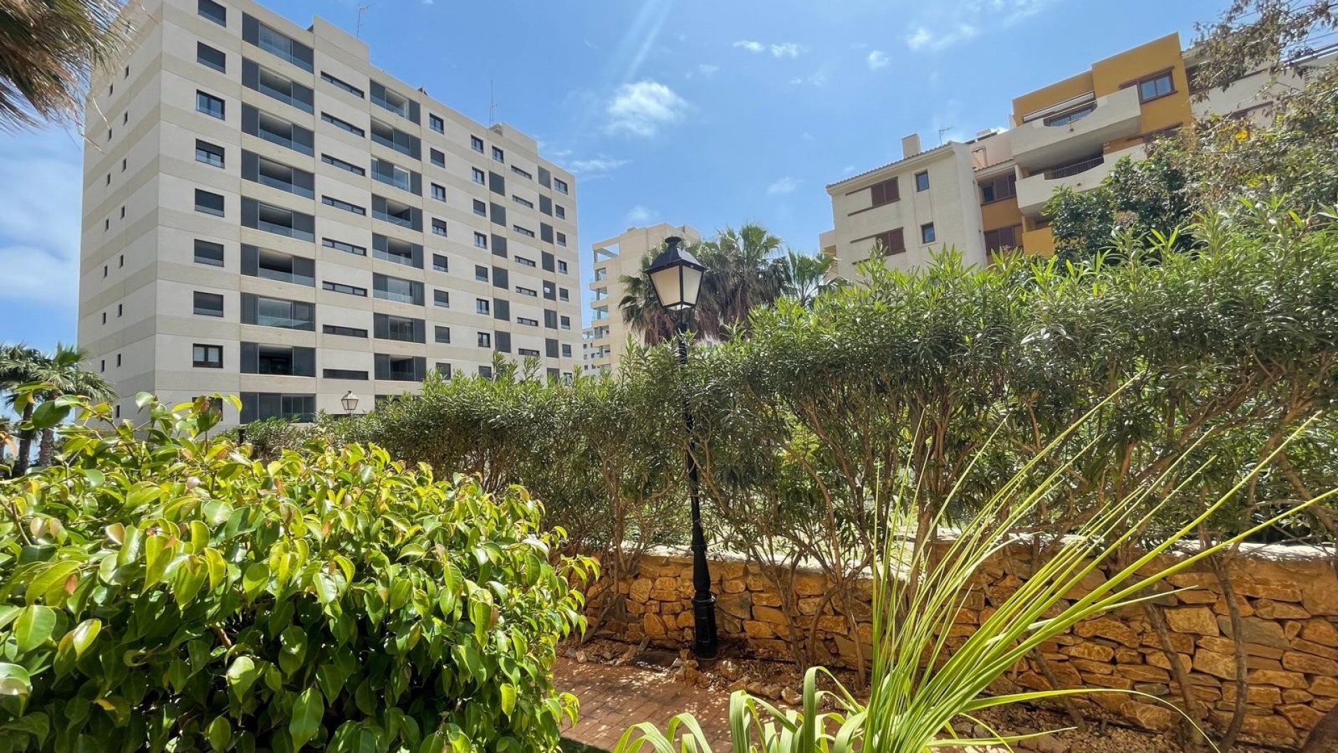 Wederverkoop - Appartement - Punta Prima - La Recoleta