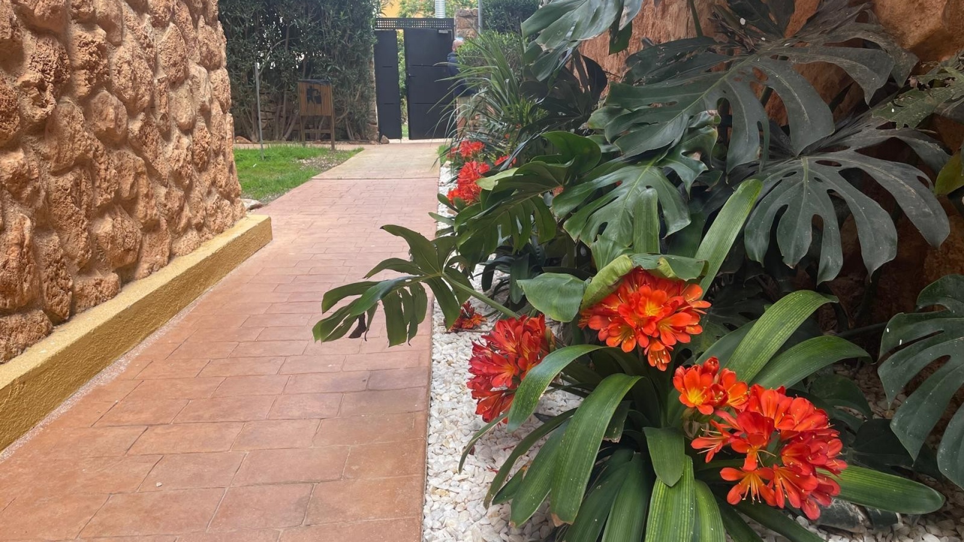 Wederverkoop - Appartement - Punta Prima - La Recoleta