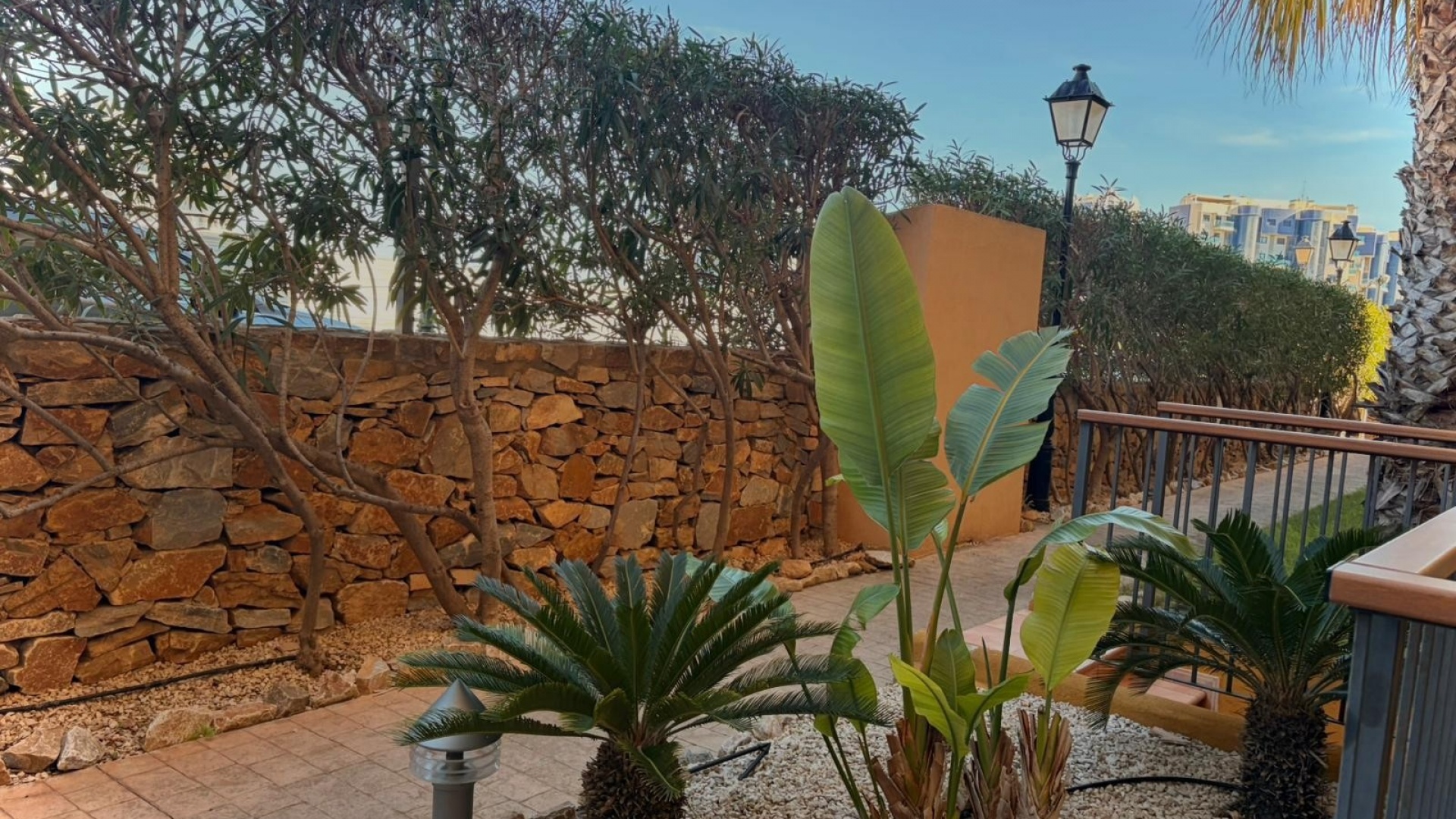 Wederverkoop - Appartement - Punta Prima - La Recoleta