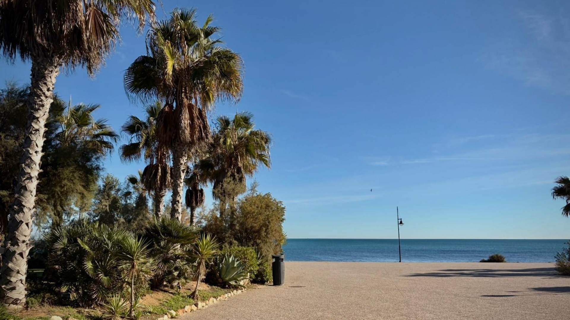 Wederverkoop - Appartement - Punta Prima - La Recoleta