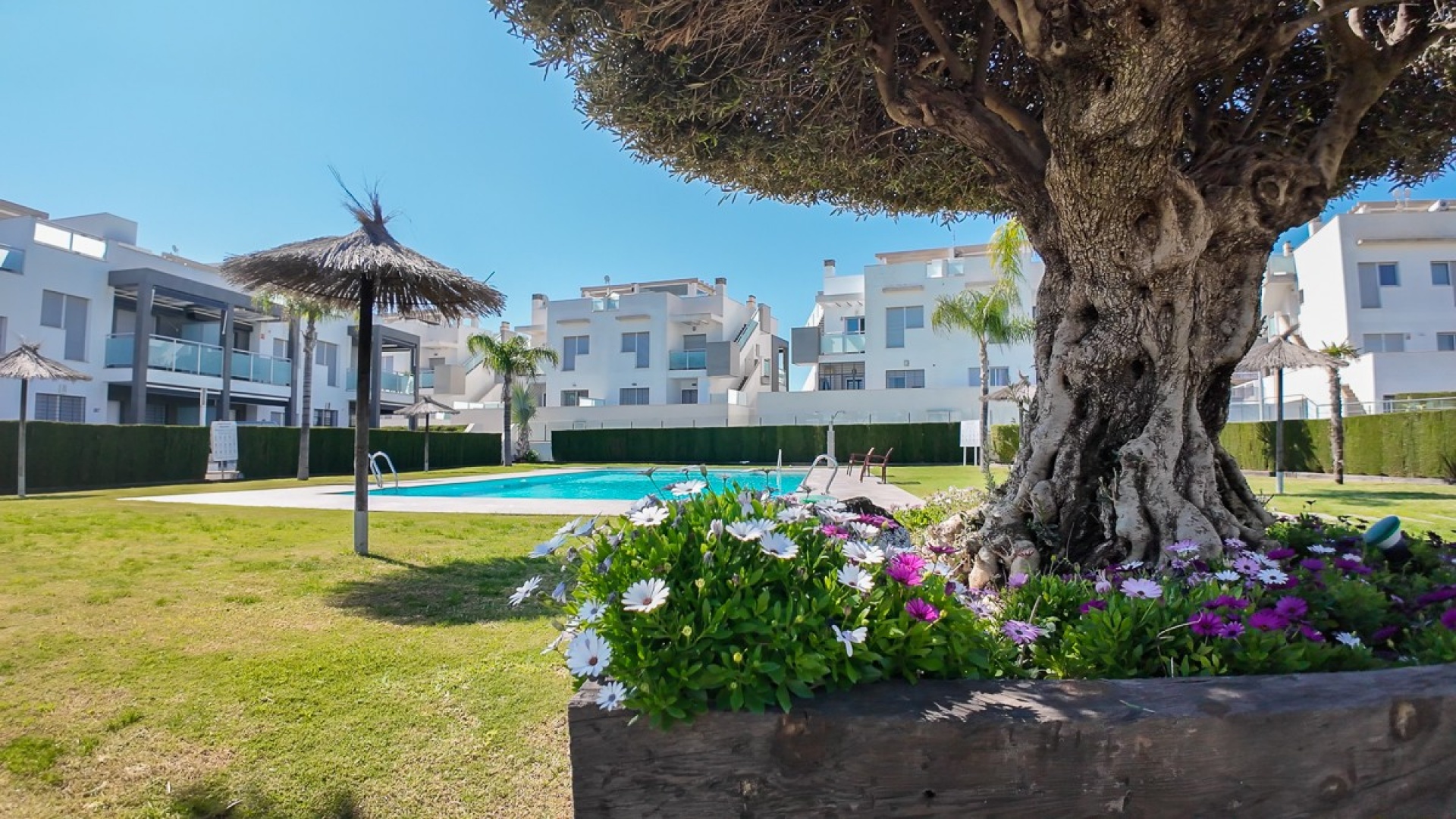 Wederverkoop - Appartement - Punta Prima - mirador de amay