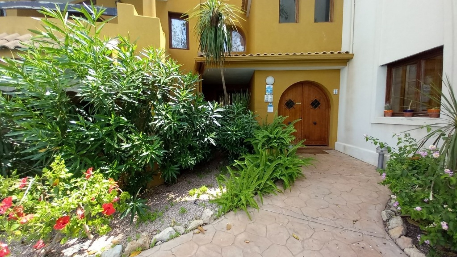 Wederverkoop - Appartement - Punta Prima - panorama park