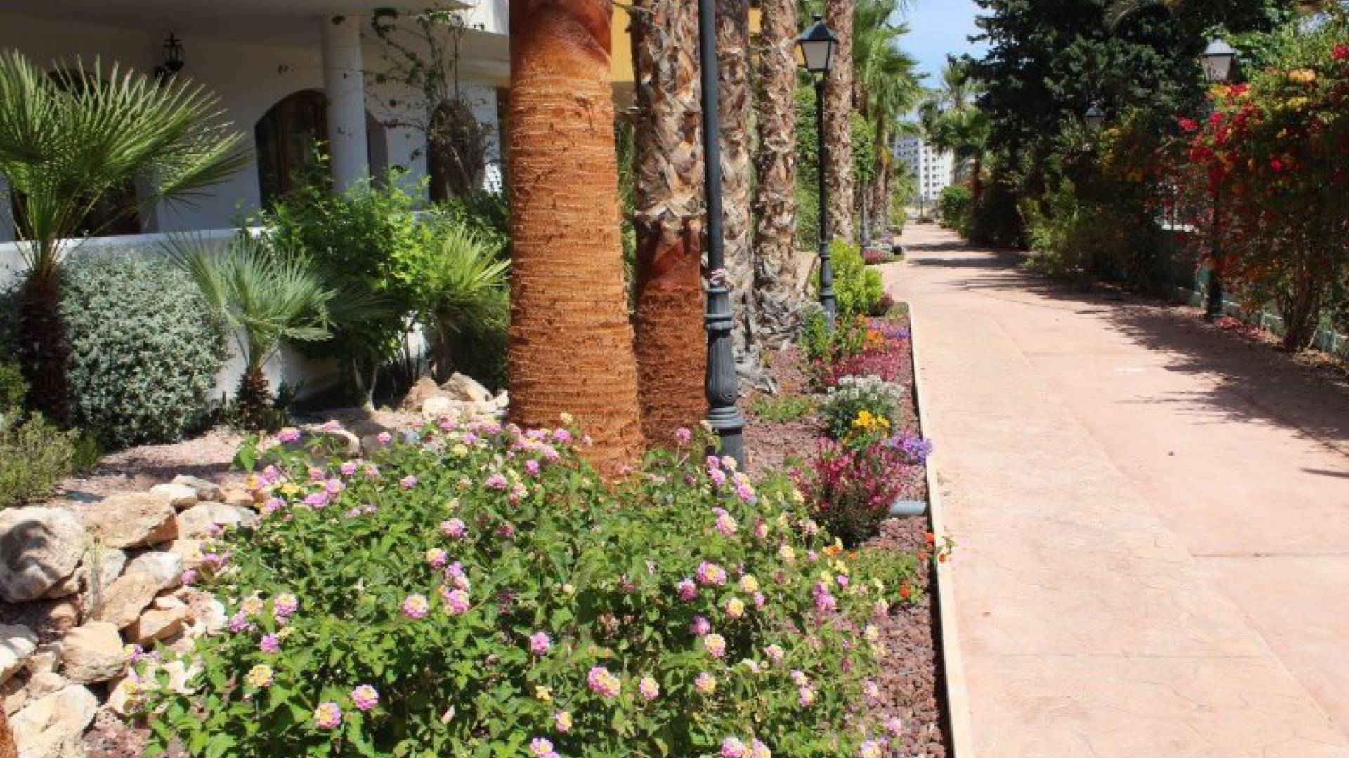 Wederverkoop - Appartement - Punta Prima - panorama park