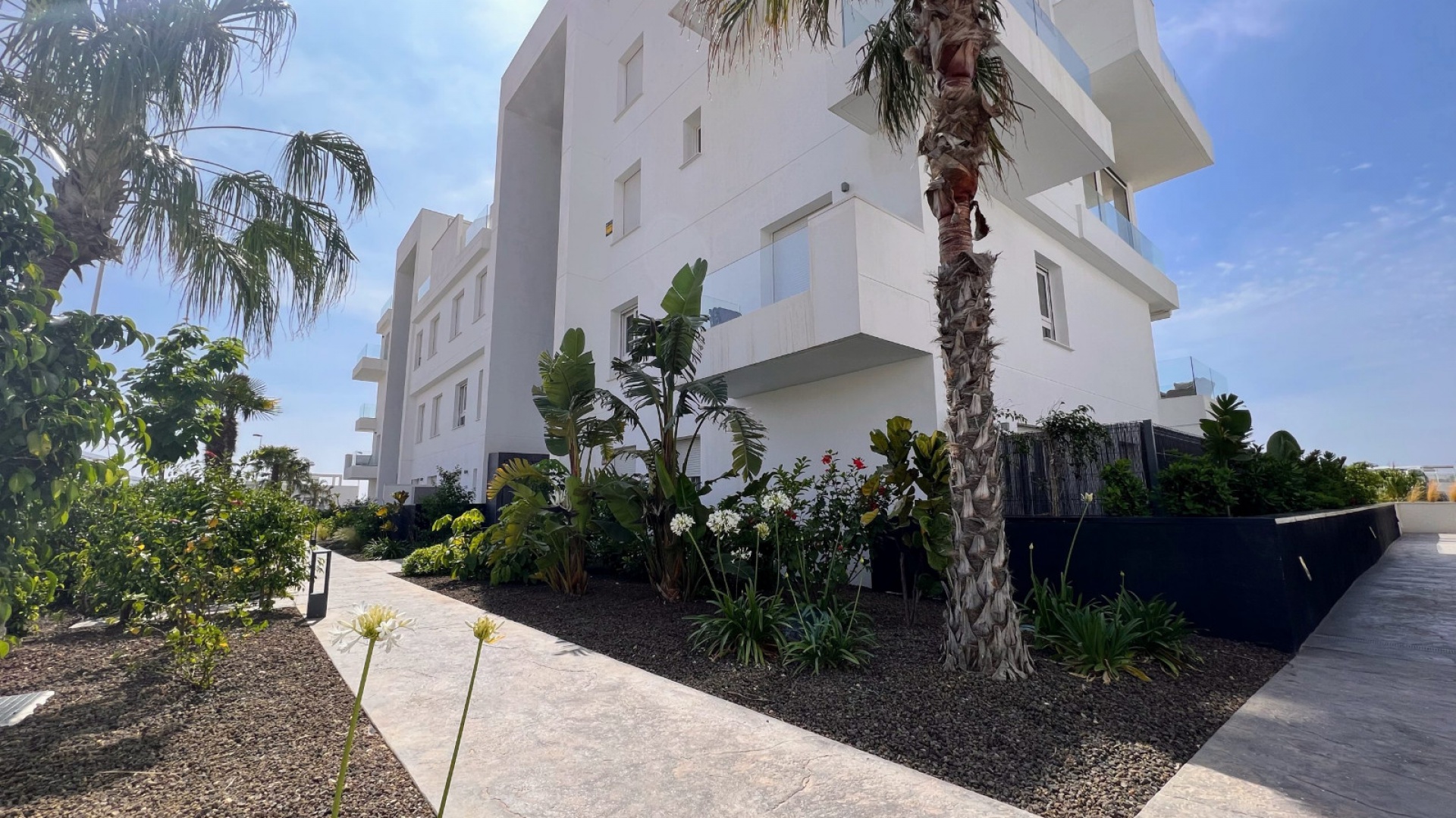 Wederverkoop - Appartement - Punta Prima - Res. Bali