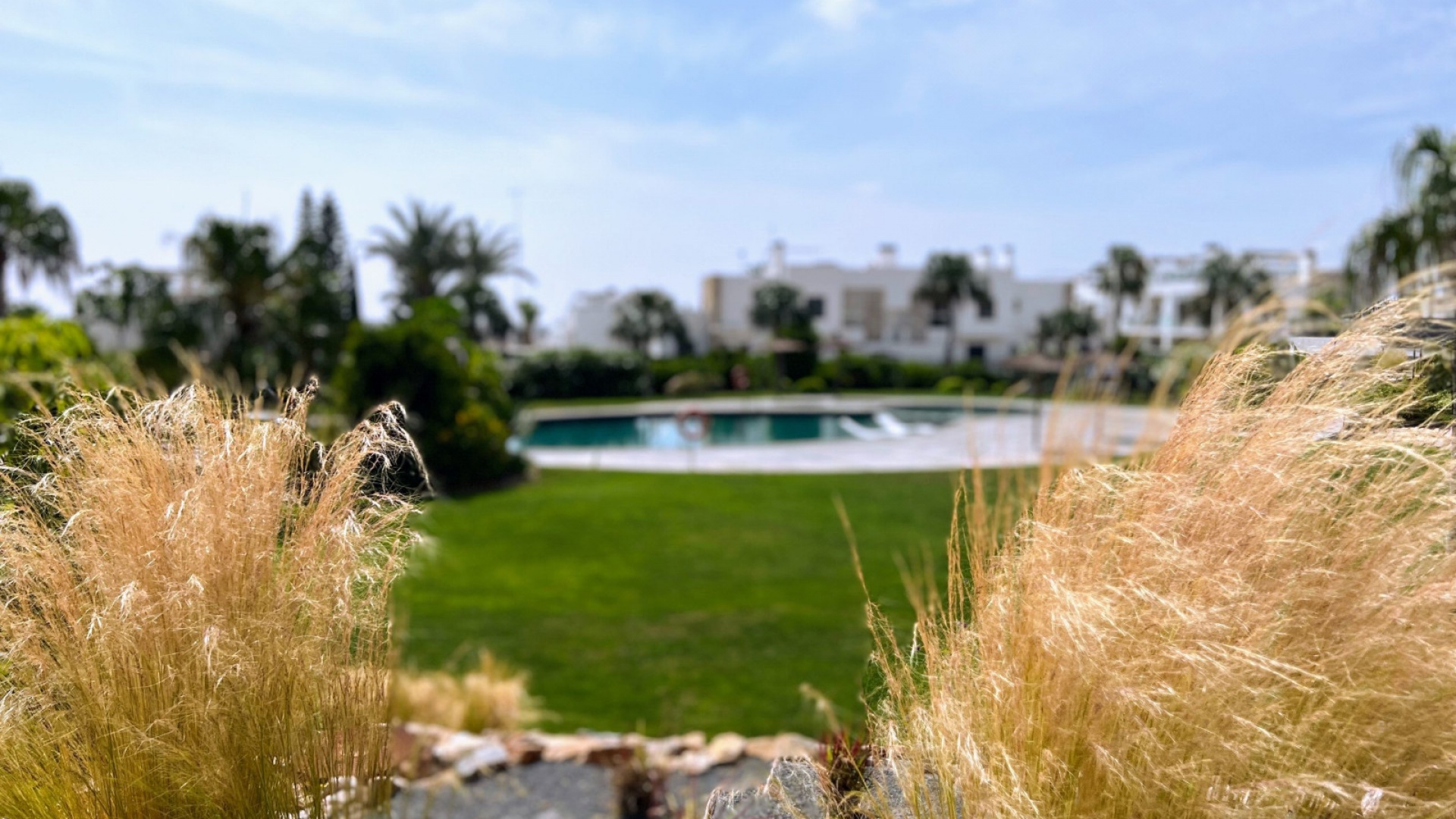 Wederverkoop - Appartement - Punta Prima - Res. Bali