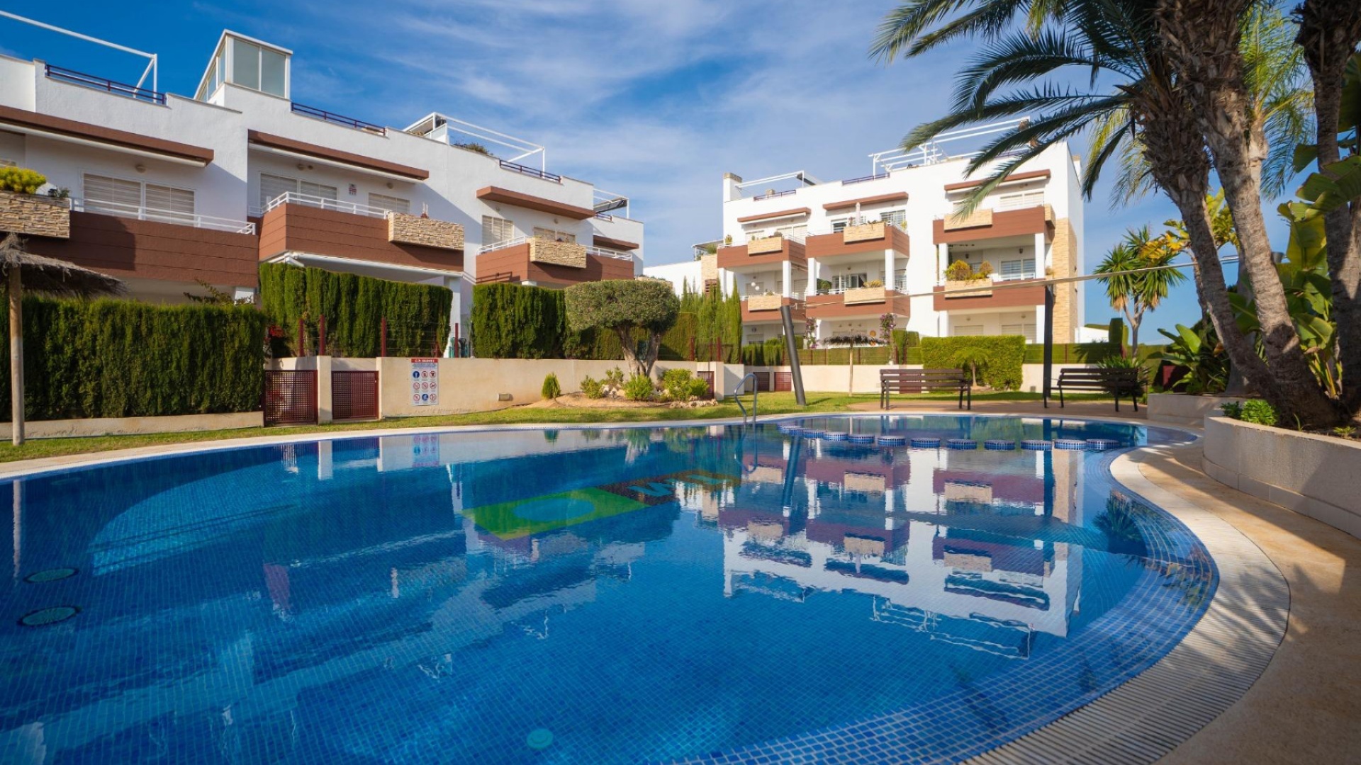 Wederverkoop - Appartement - Punta Prima - Res. Silene